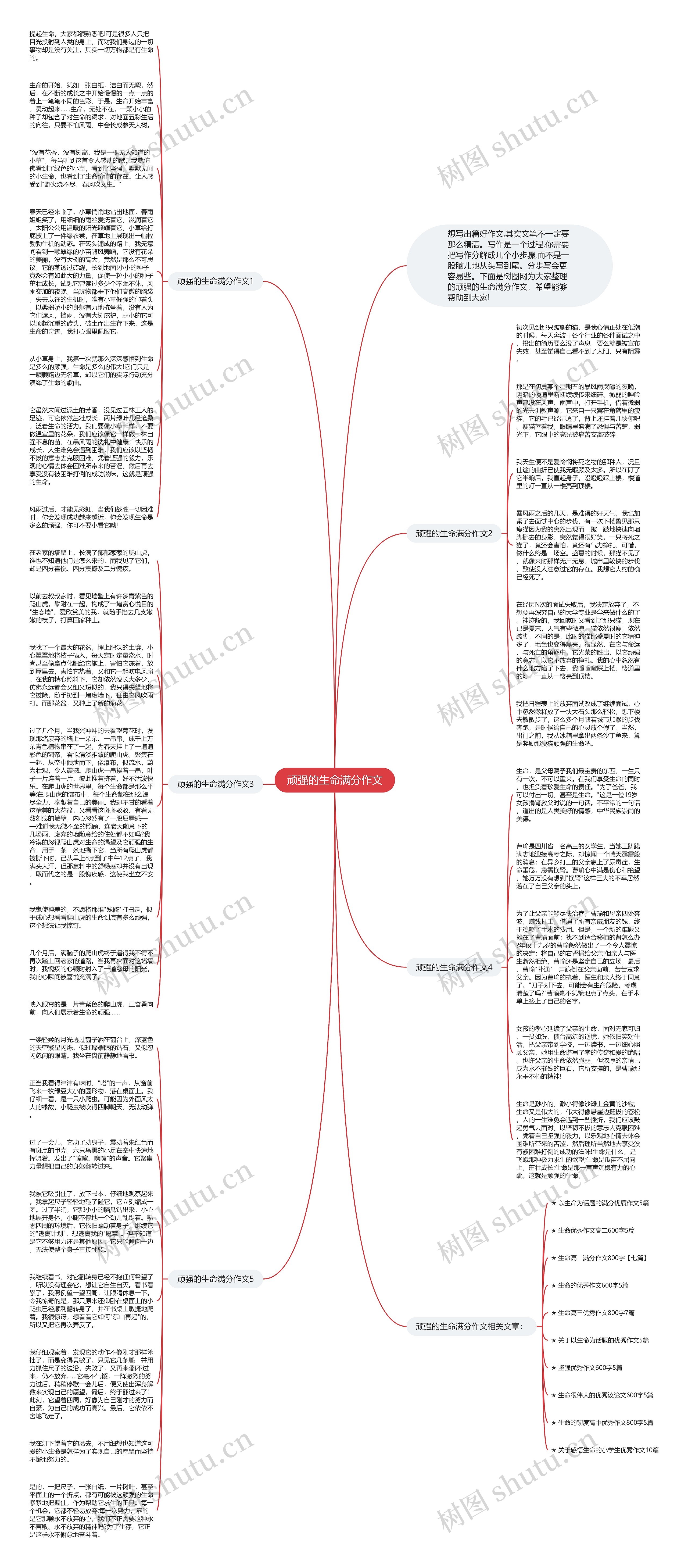 顽强的生命满分作文思维导图