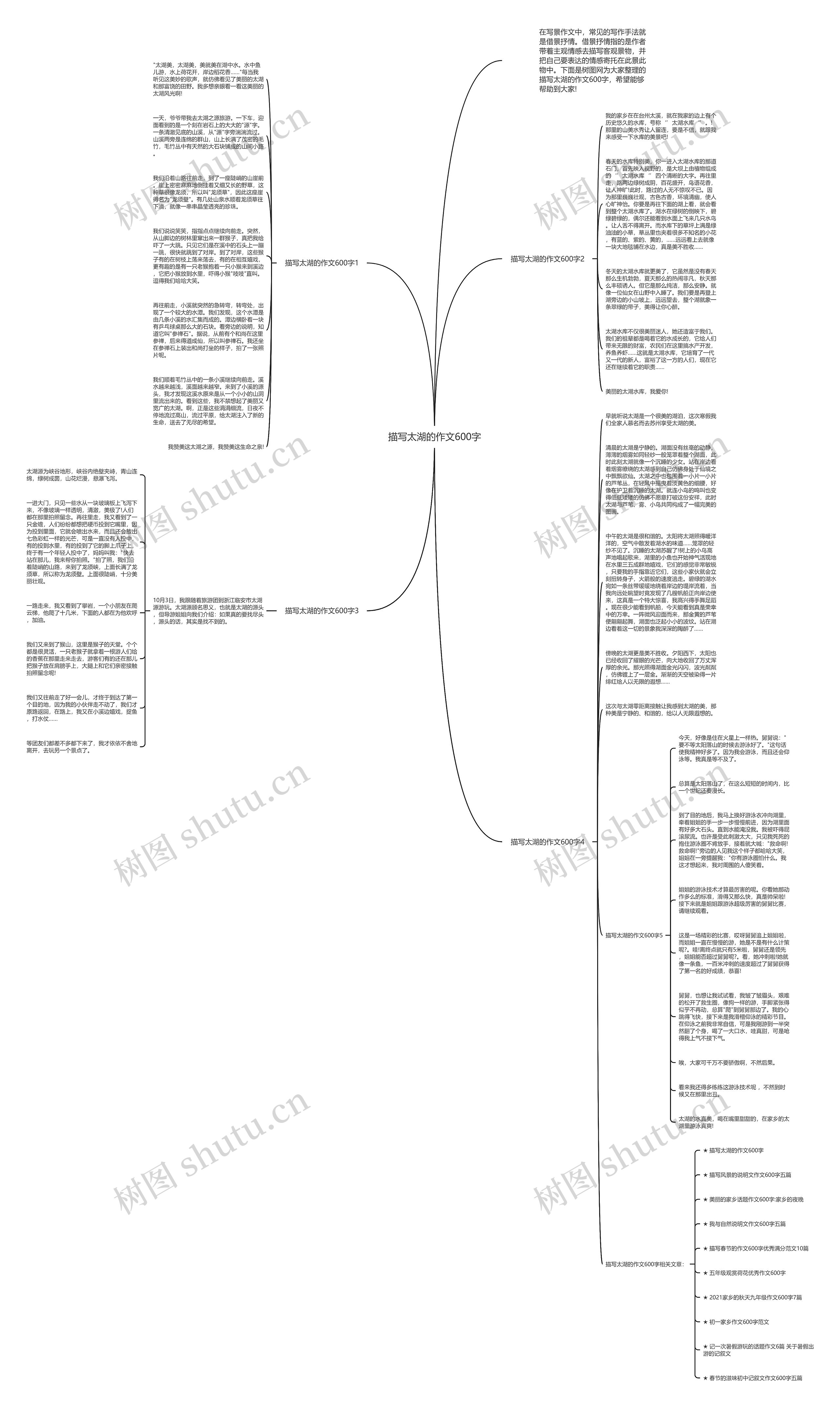 描写太湖的作文600字思维导图