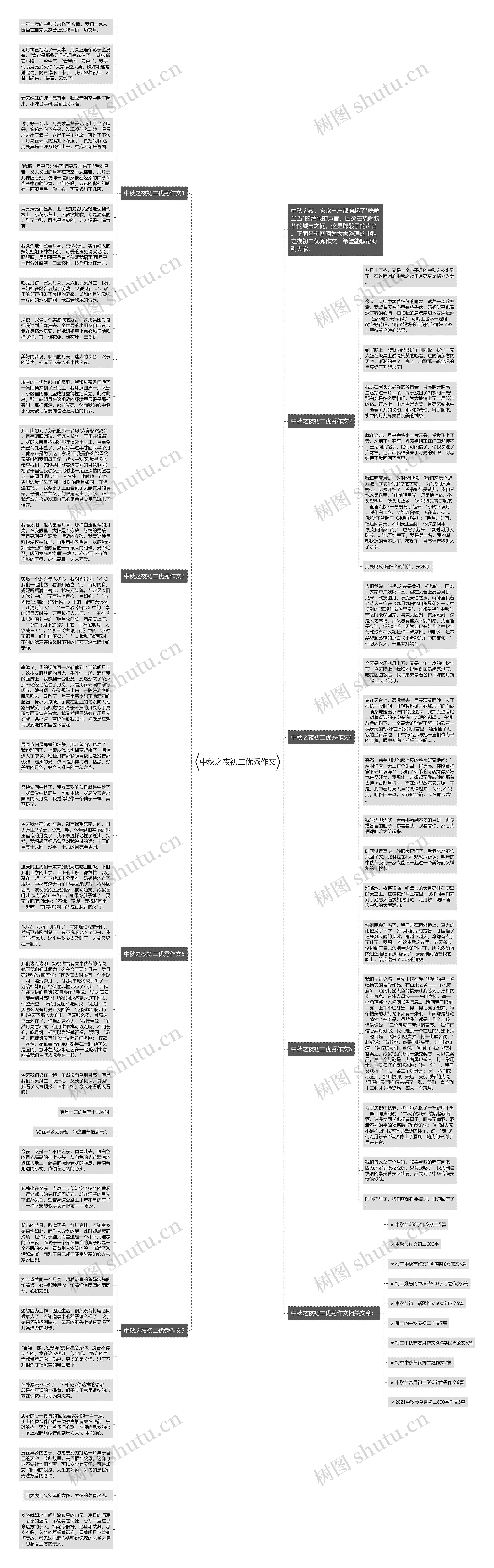 中秋之夜初二优秀作文思维导图