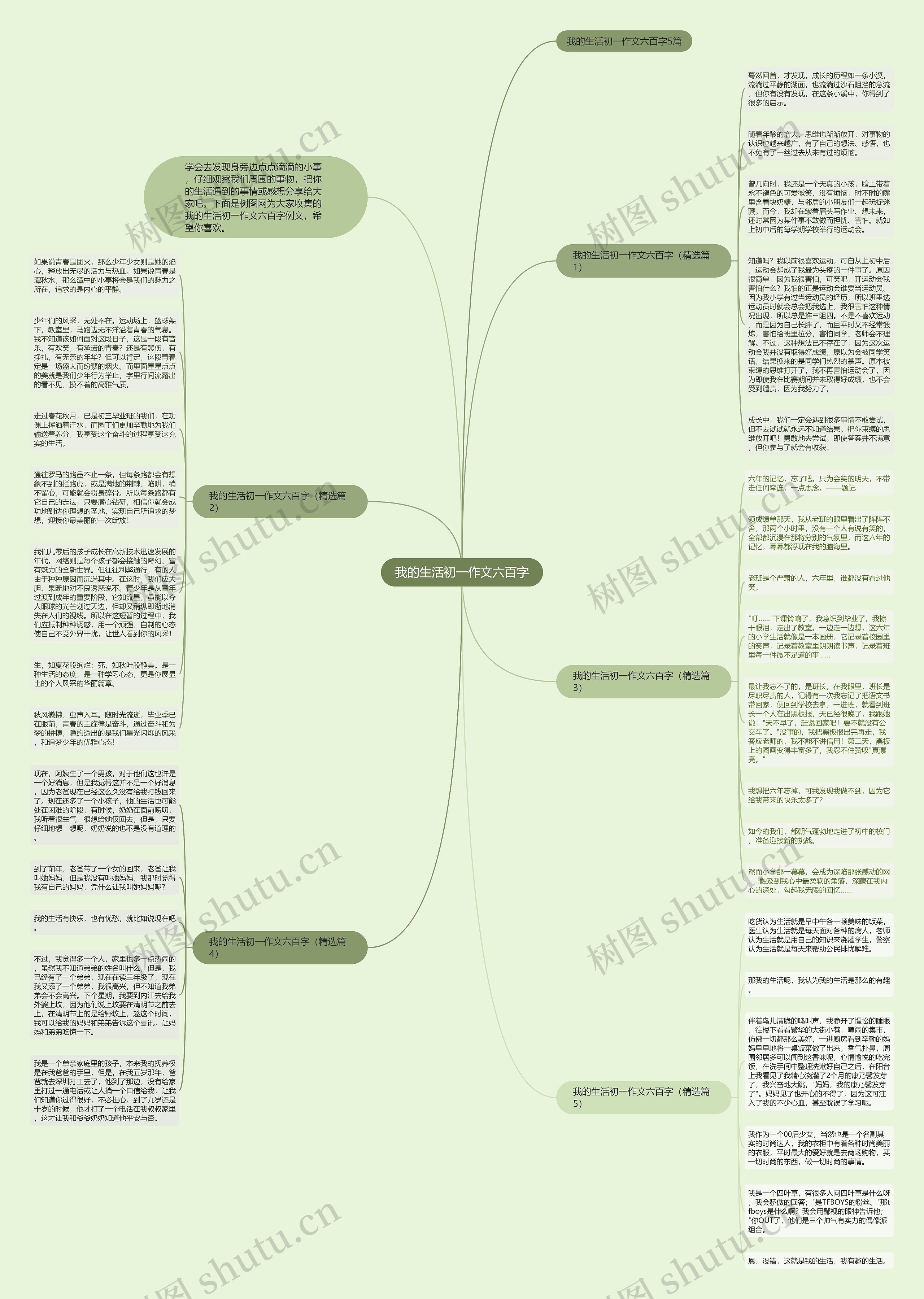 我的生活初一作文六百字思维导图