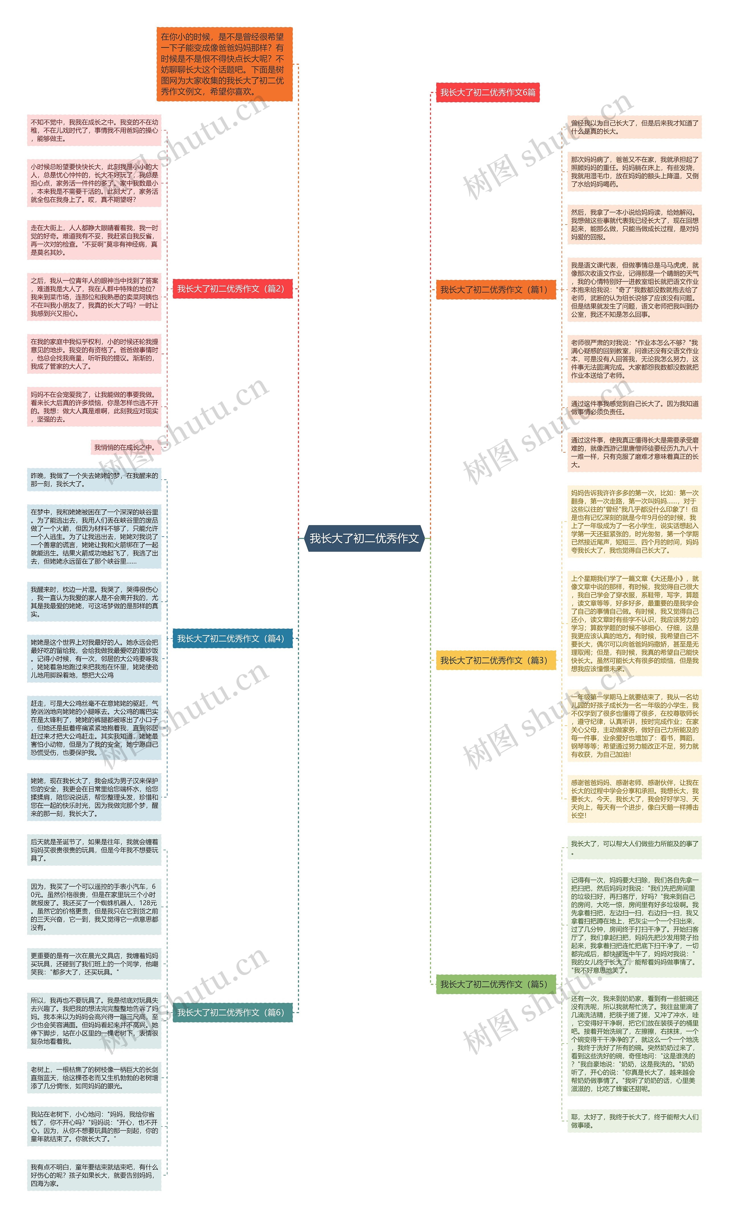 我长大了初二优秀作文思维导图
