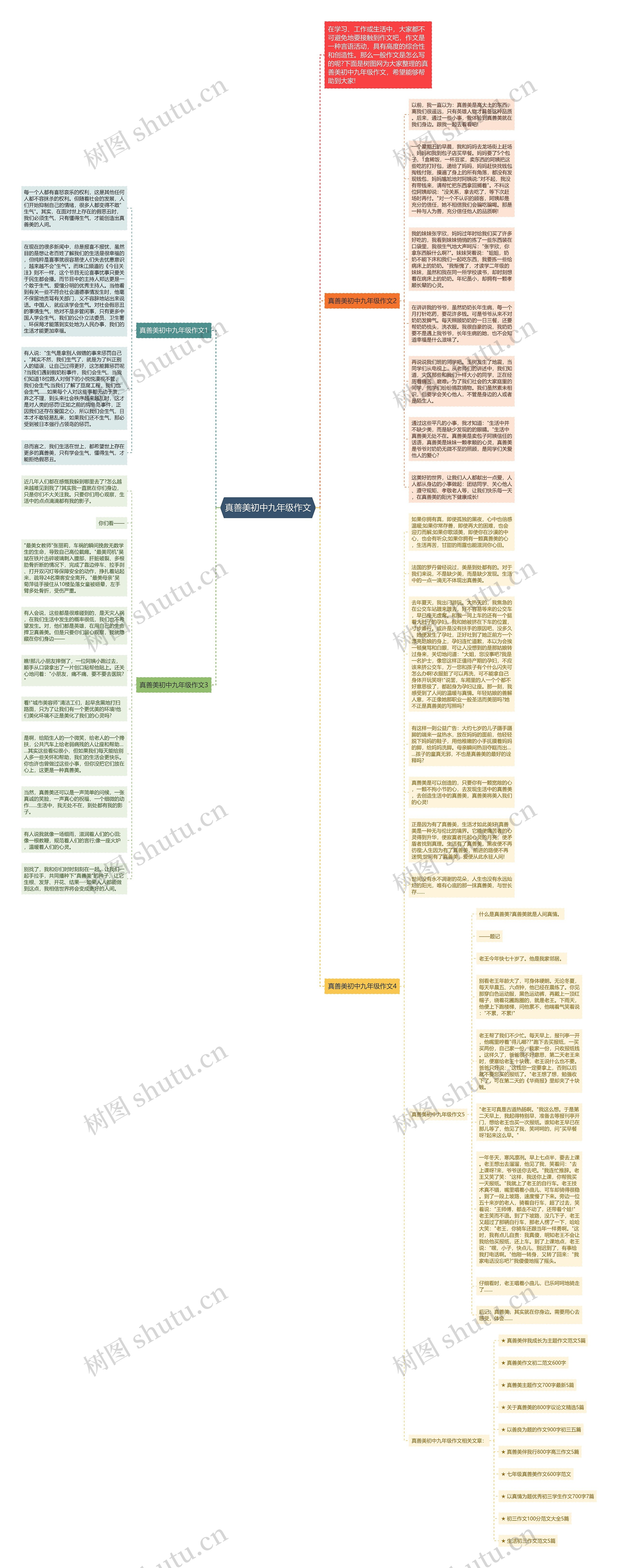 真善美初中九年级作文思维导图