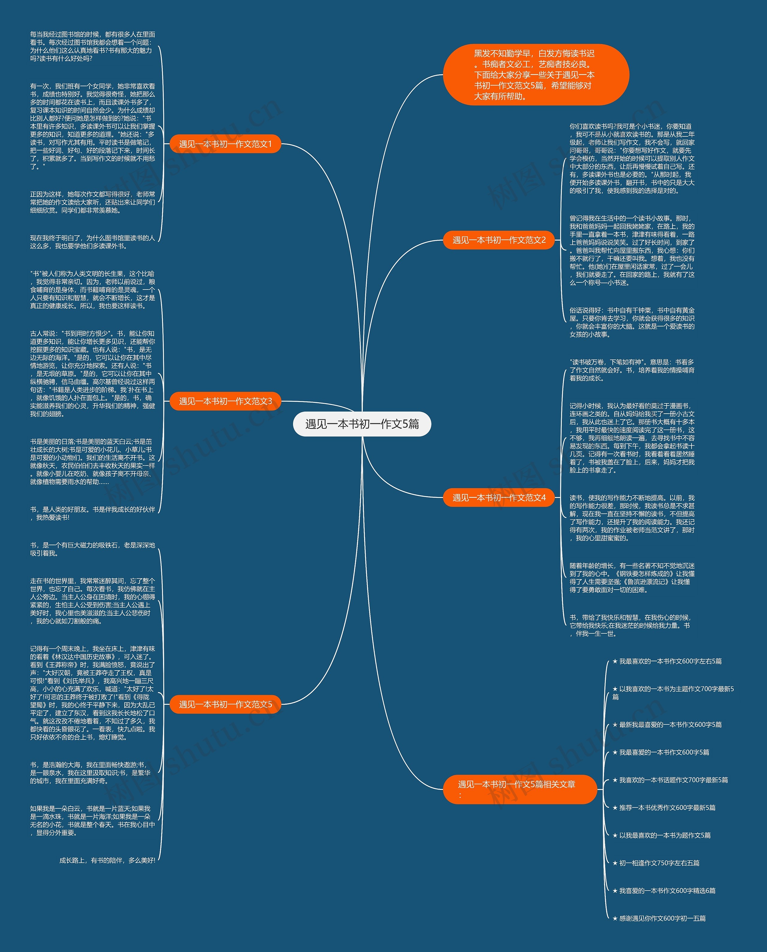 遇见一本书初一作文5篇思维导图