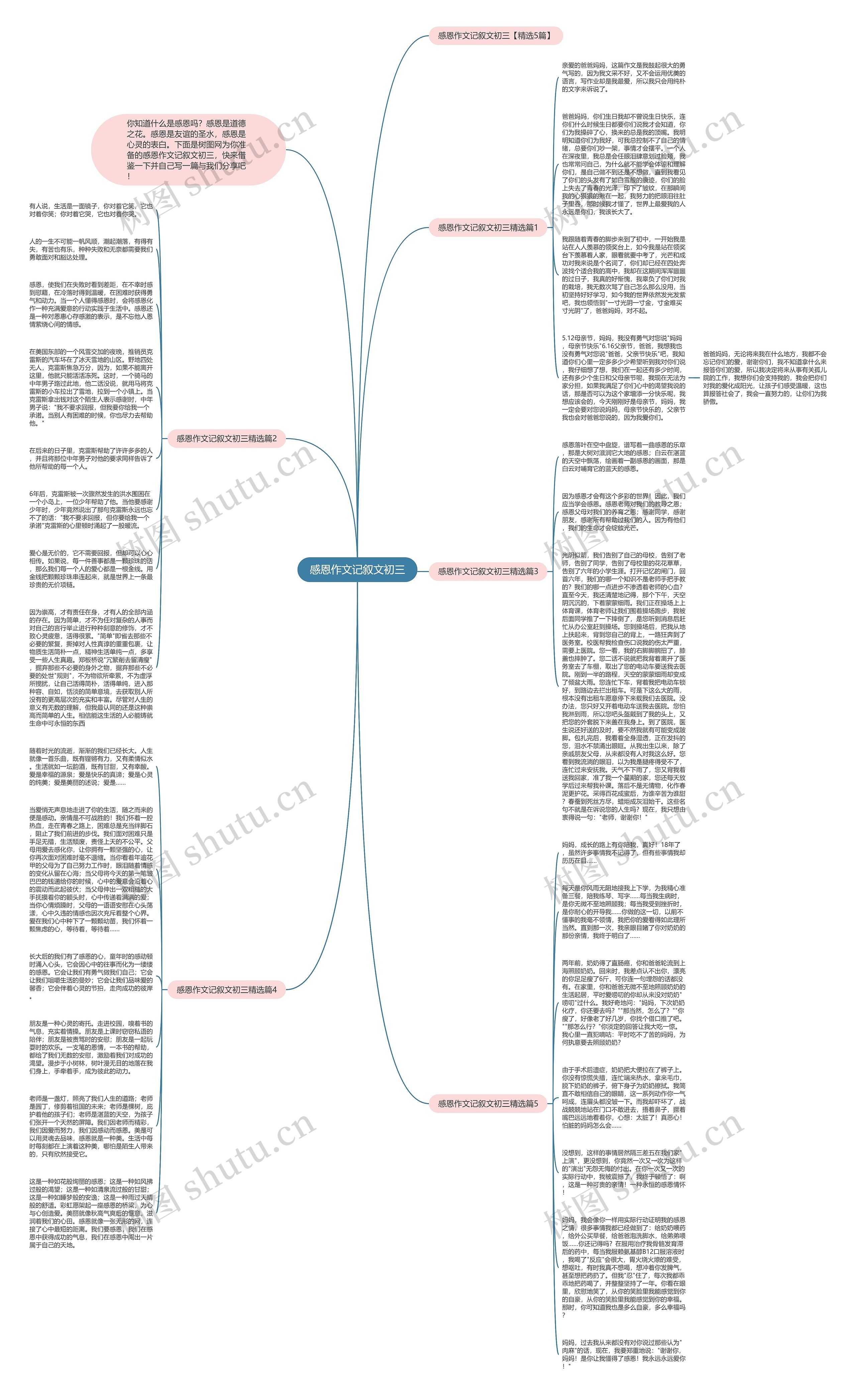 感恩作文记叙文初三思维导图