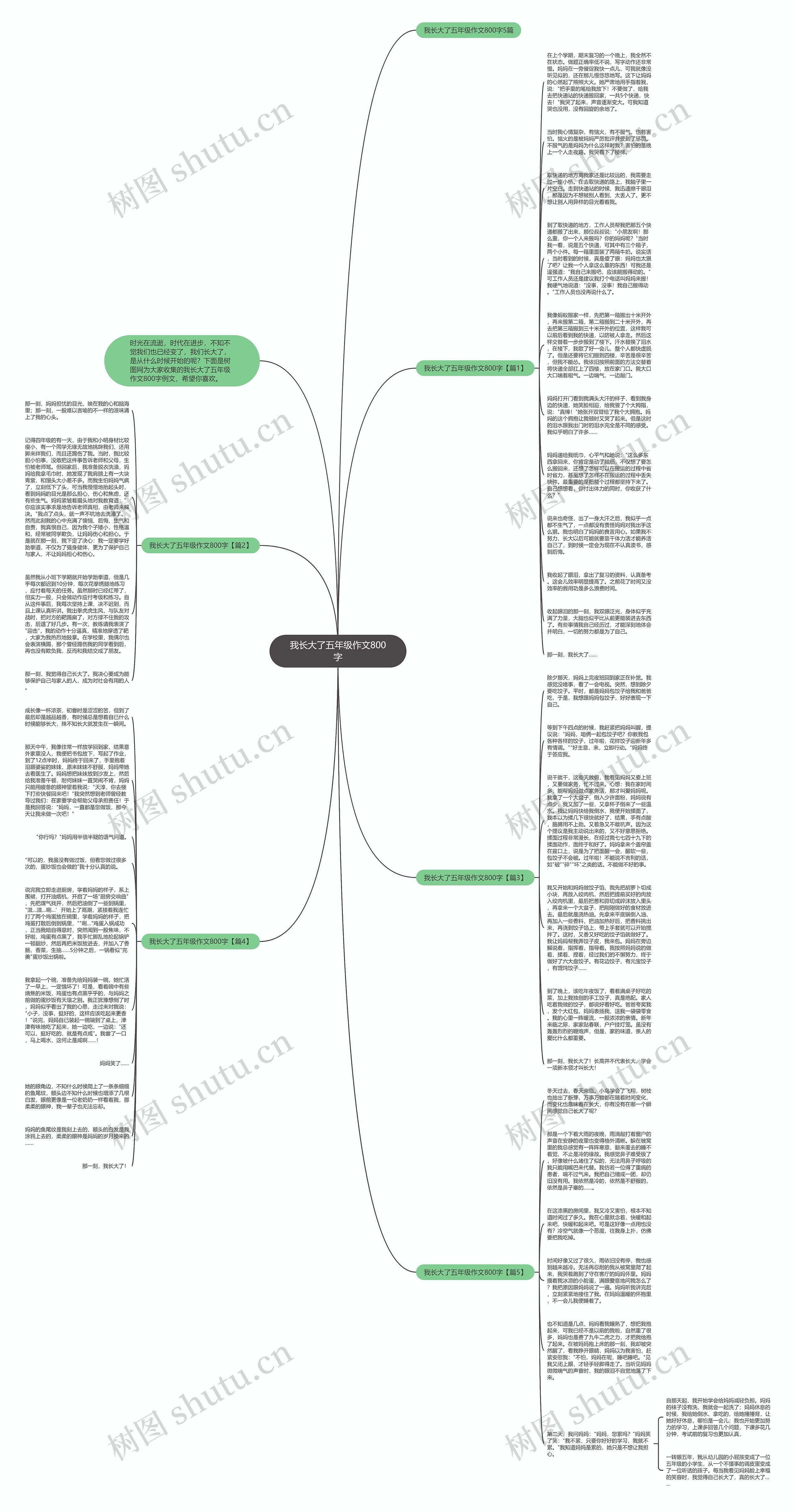 我长大了五年级作文800字思维导图
