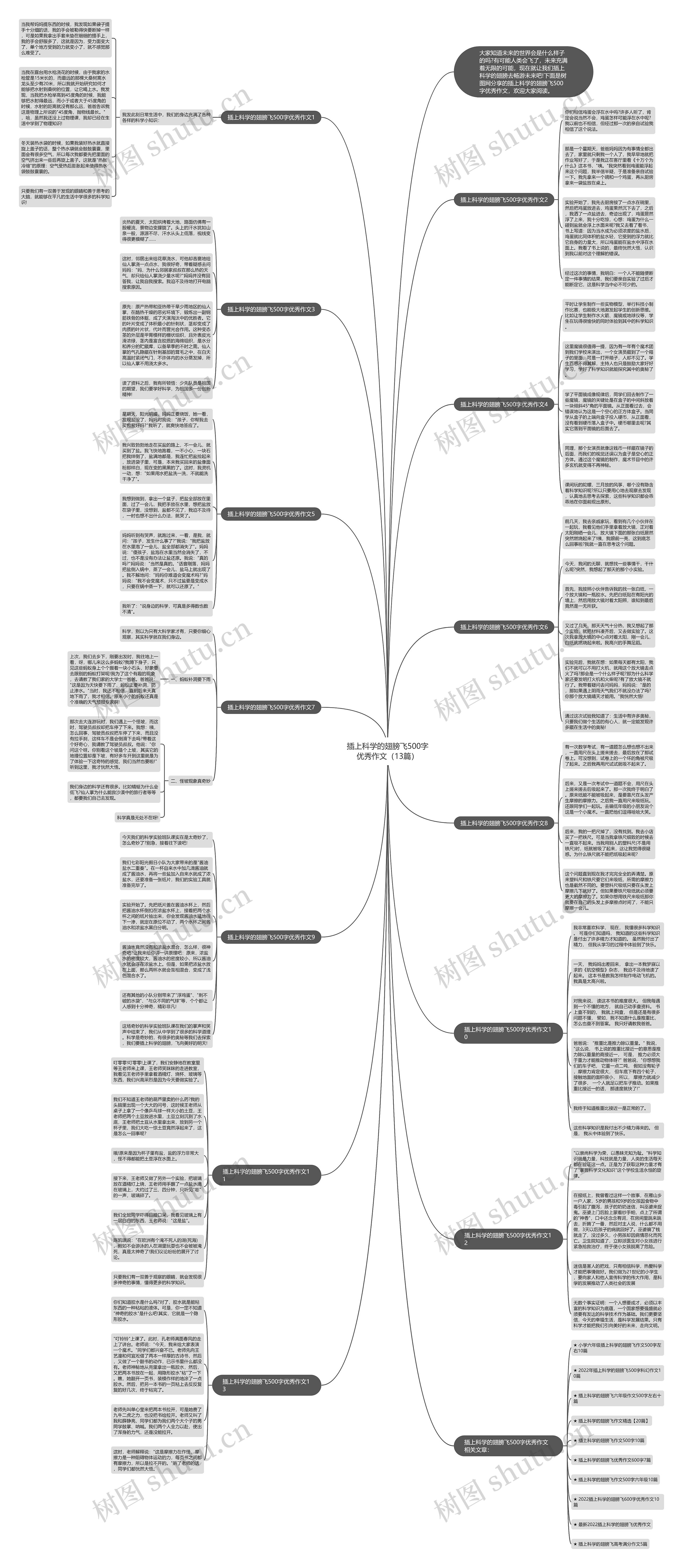 插上科学的翅膀飞500字优秀作文（13篇）思维导图