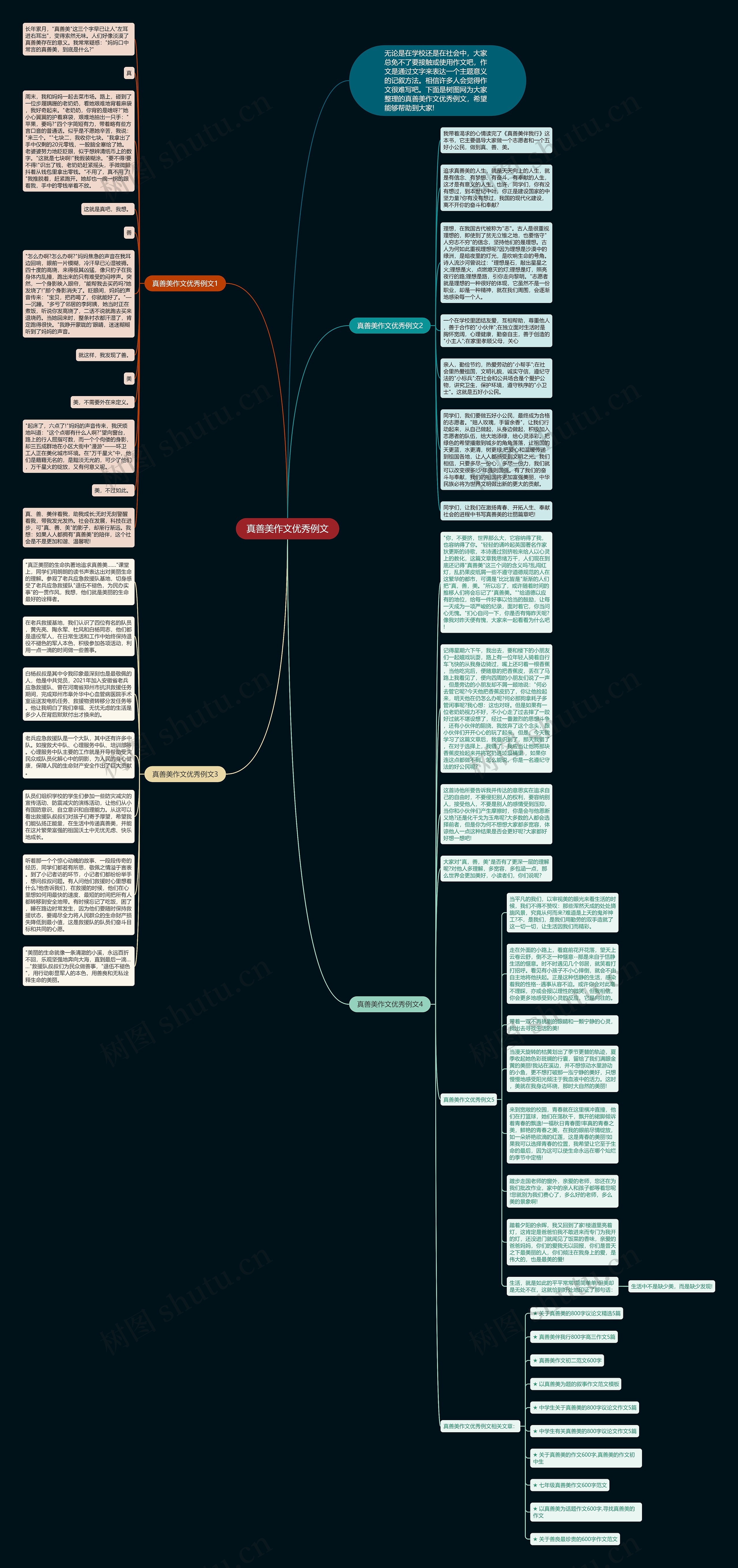 真善美作文优秀例文思维导图
