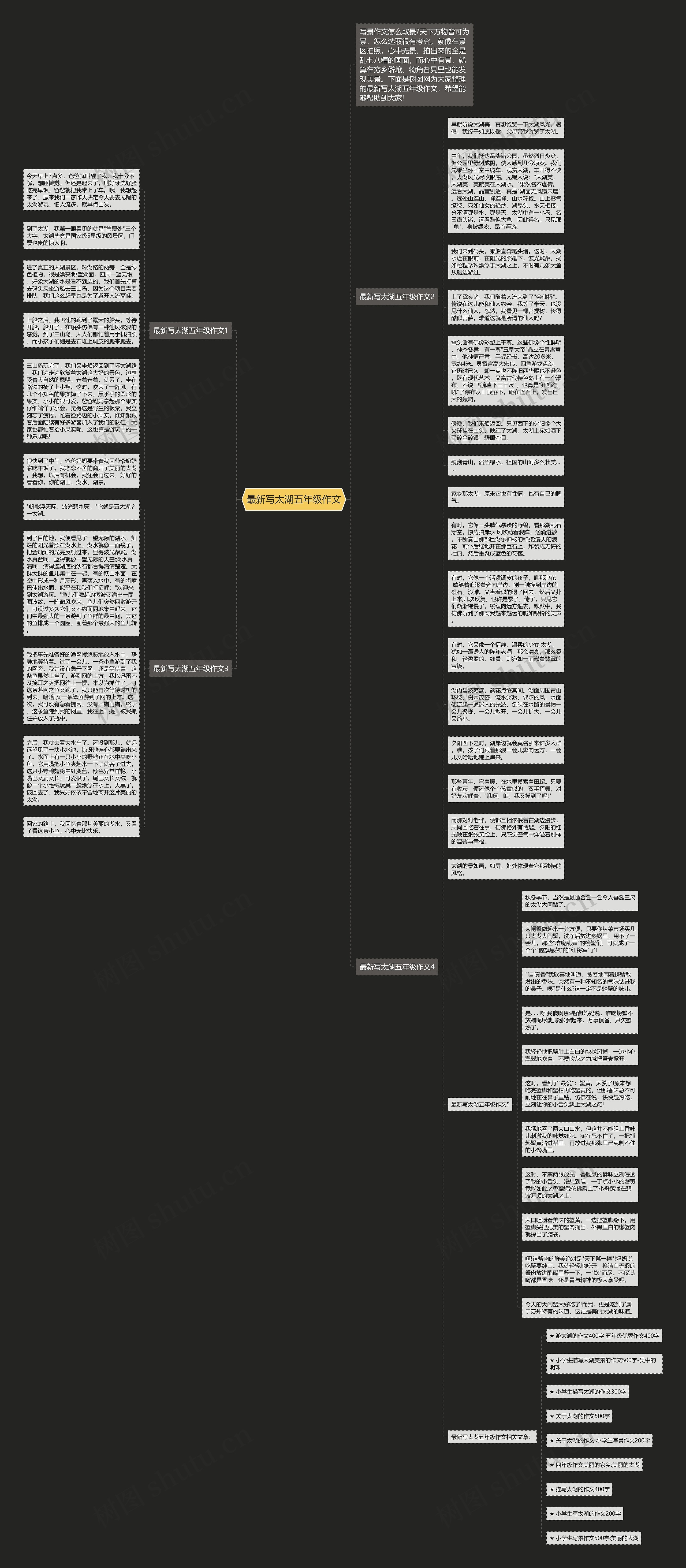 最新写太湖五年级作文思维导图