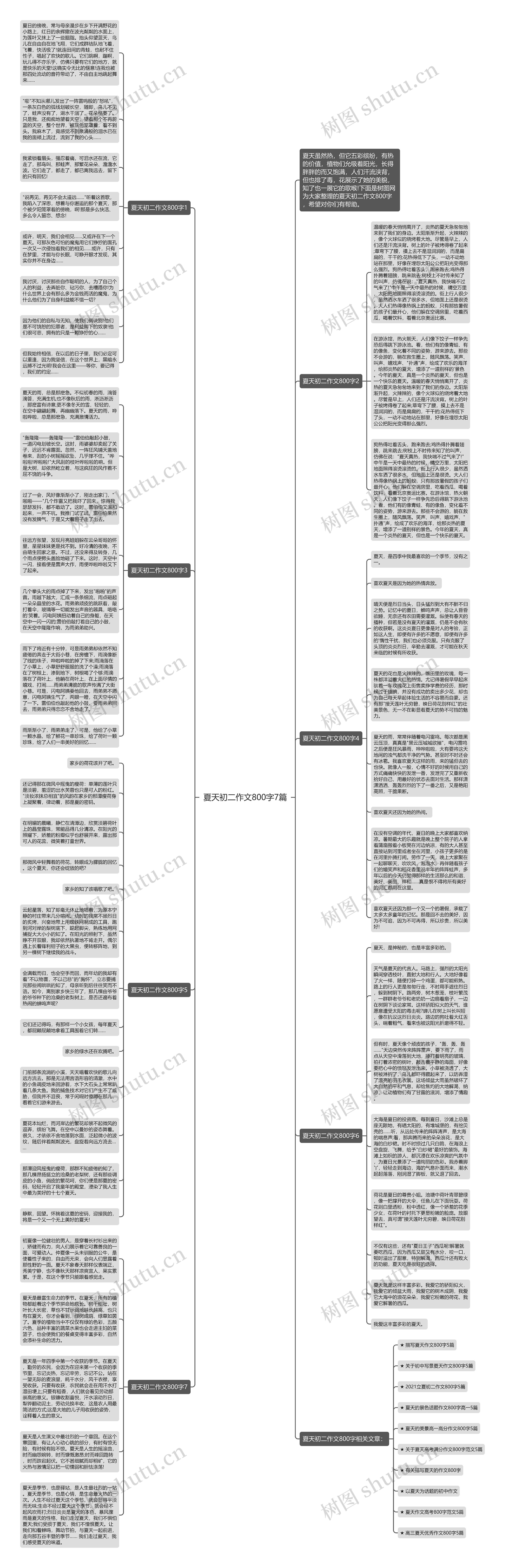 夏天初二作文800字7篇思维导图
