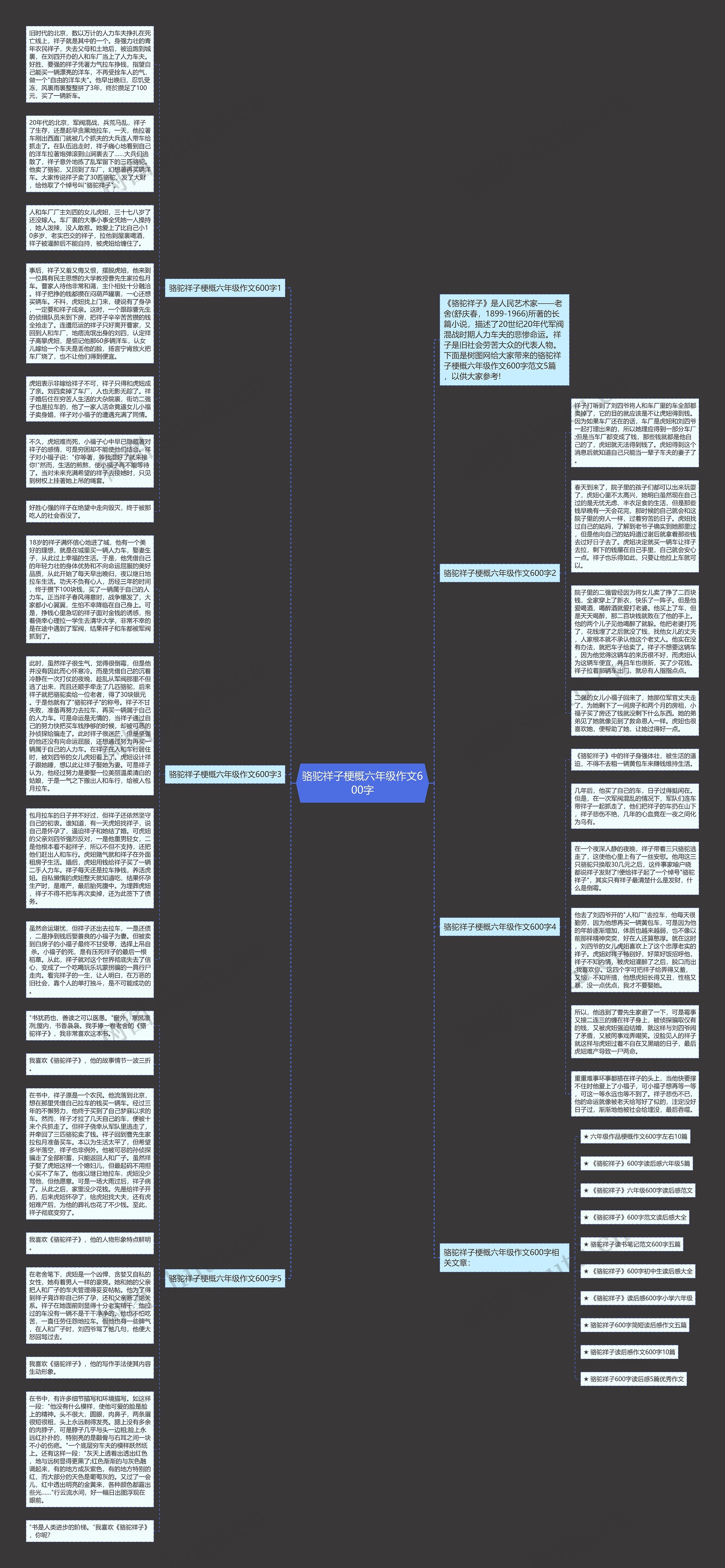 骆驼祥子梗概六年级作文600字思维导图