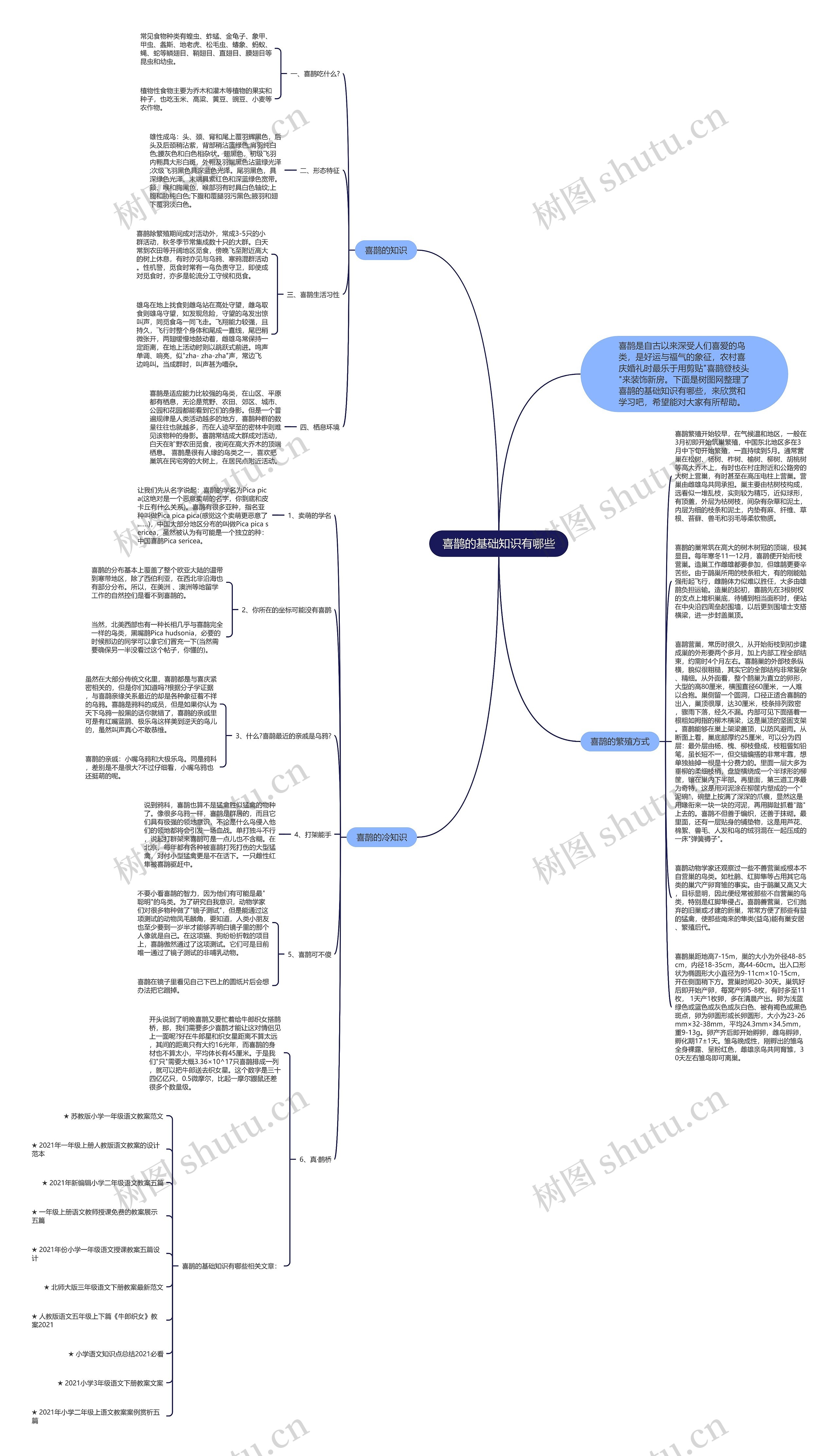 喜鹊的基础知识有哪些思维导图