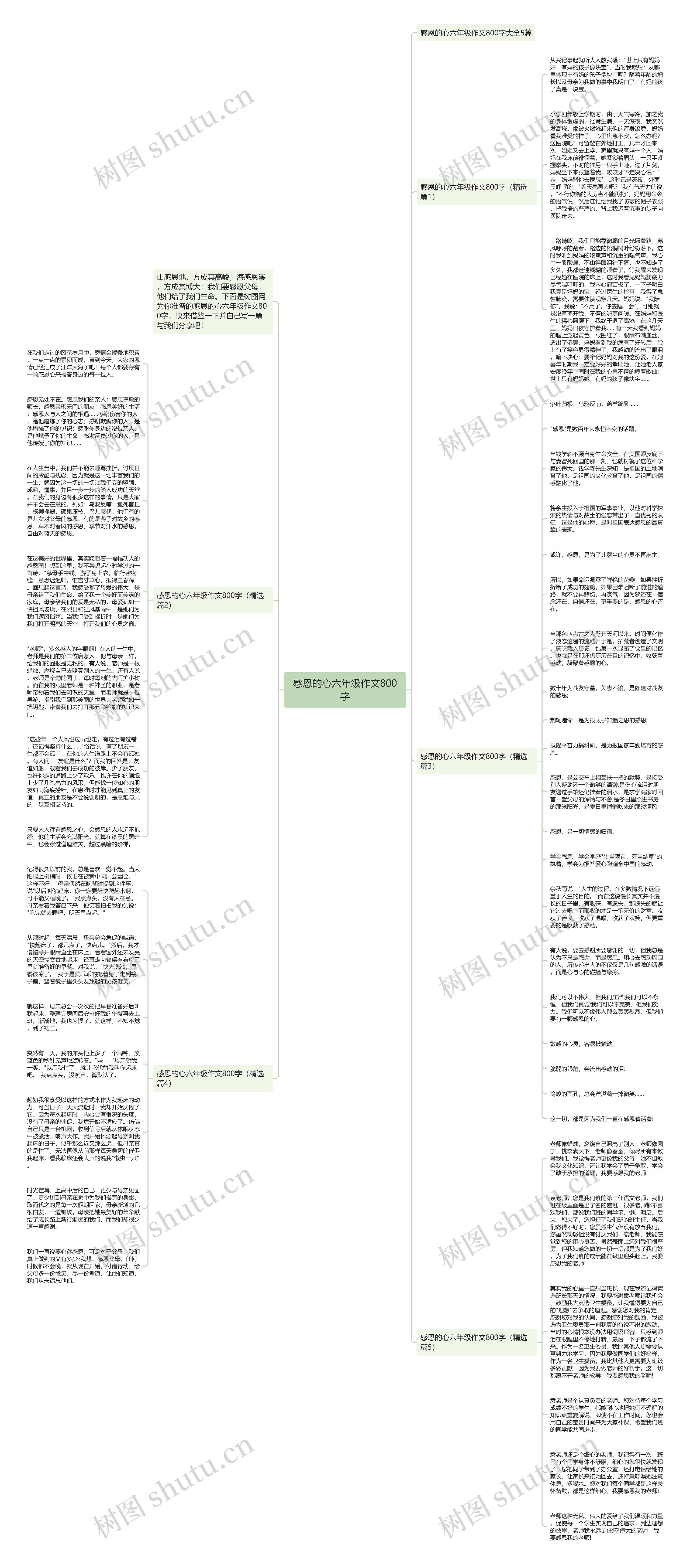 感恩的心六年级作文800字思维导图