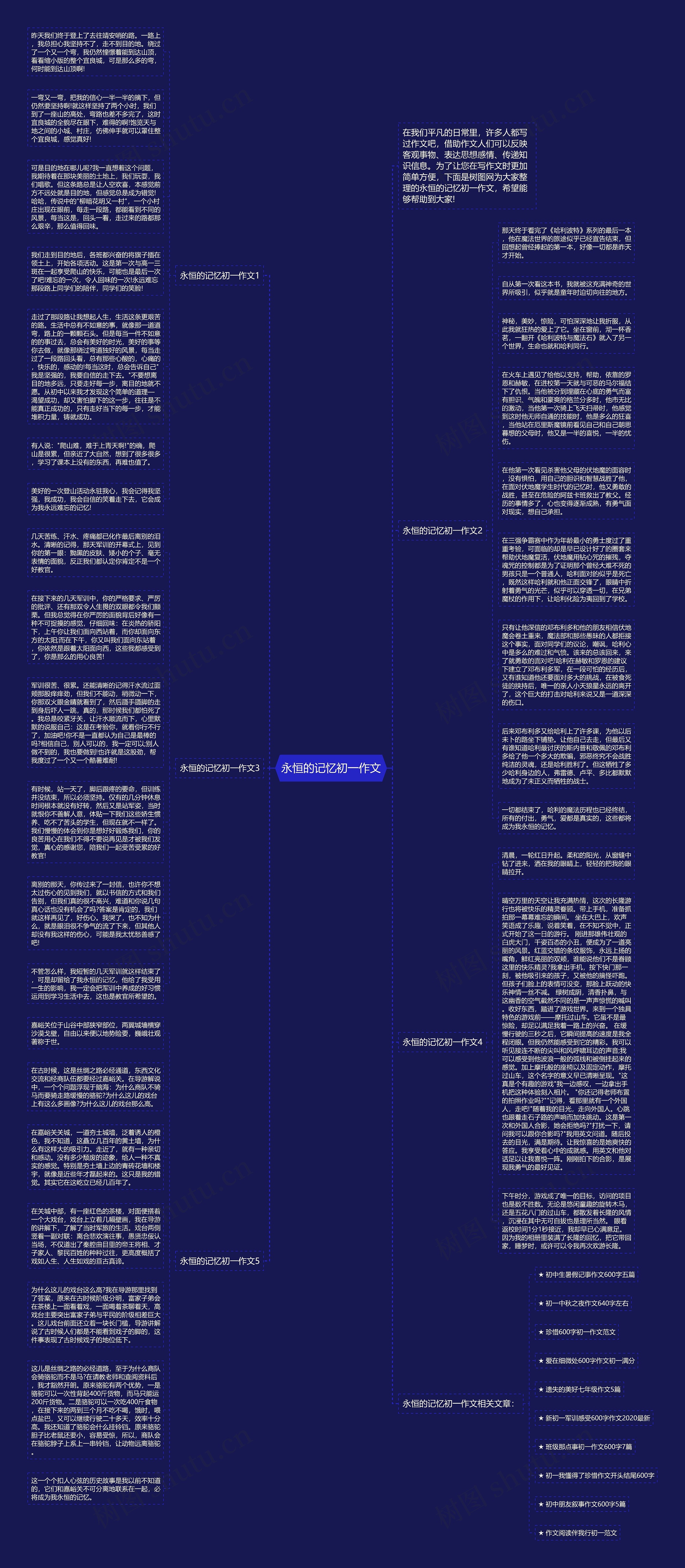 永恒的记忆初一作文思维导图