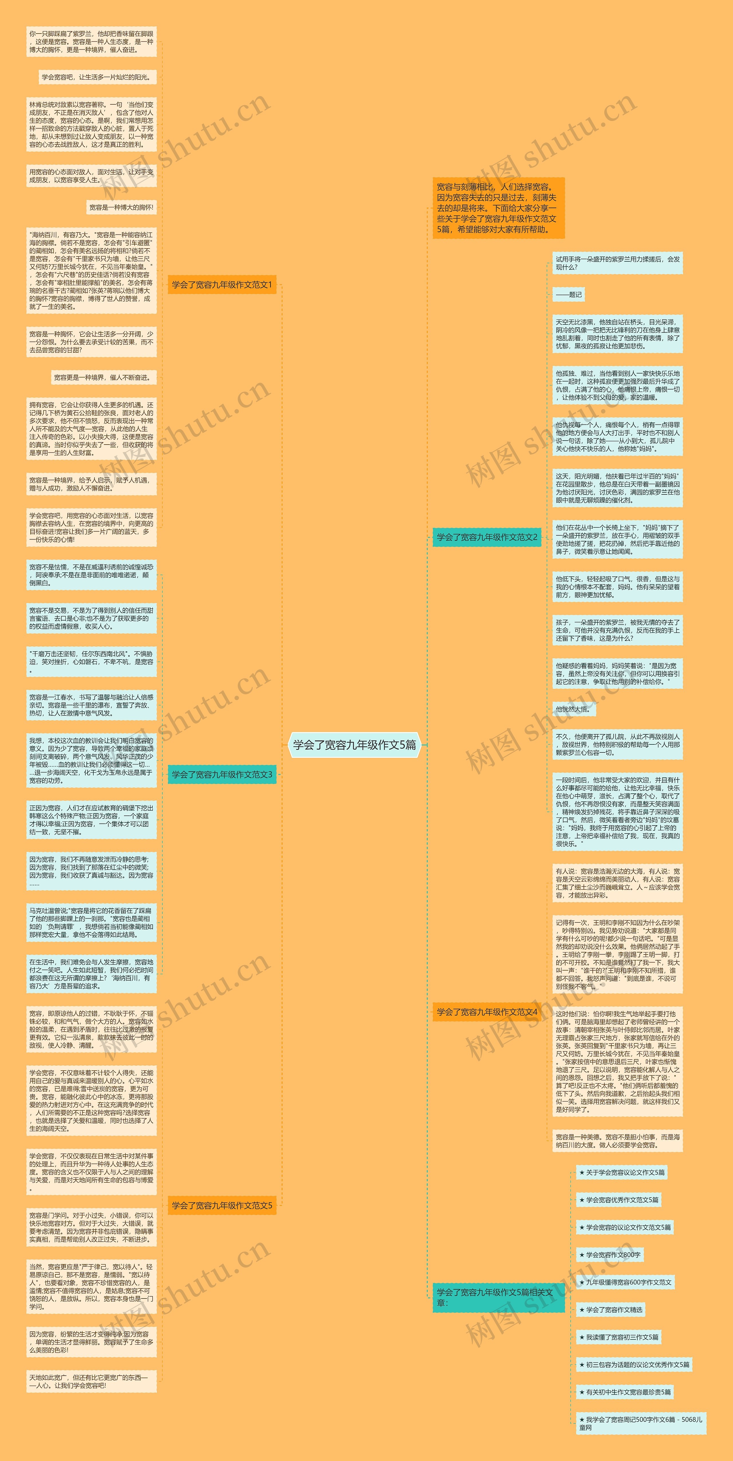 学会了宽容九年级作文5篇思维导图