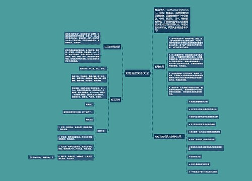 对红花的知识大全
