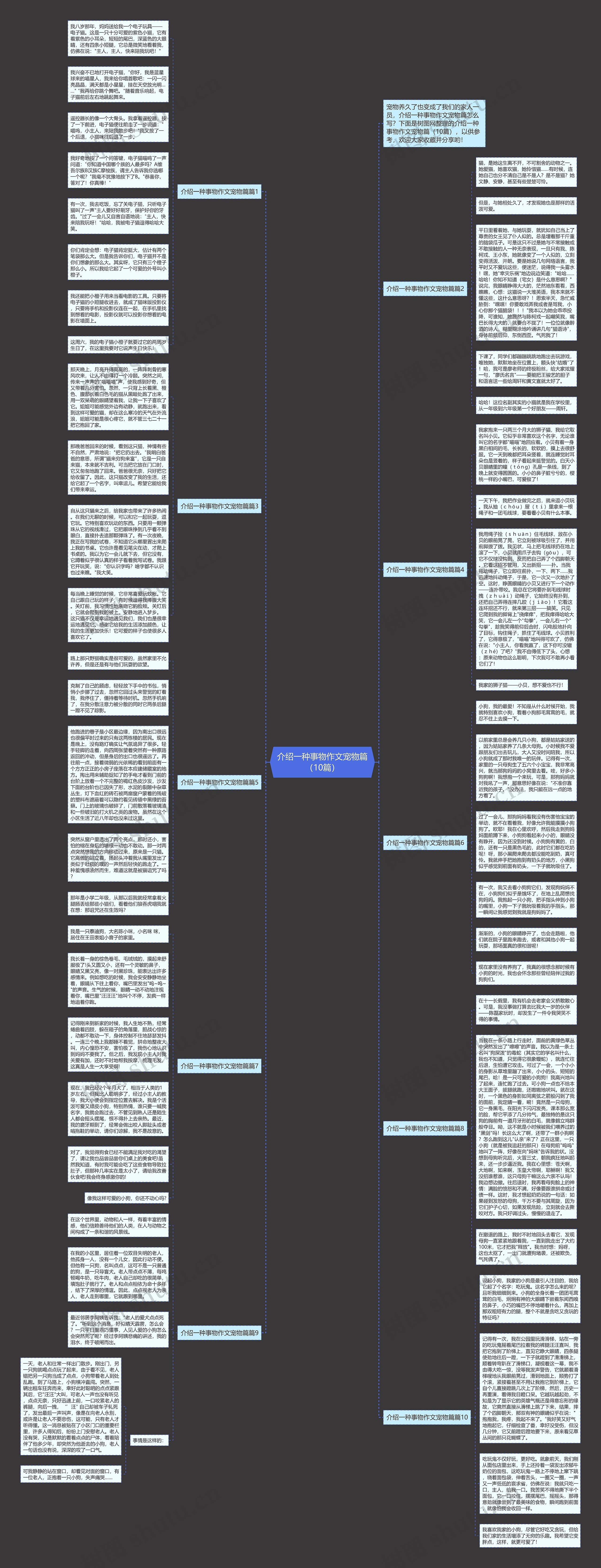 介绍一种事物作文宠物篇（10篇）思维导图