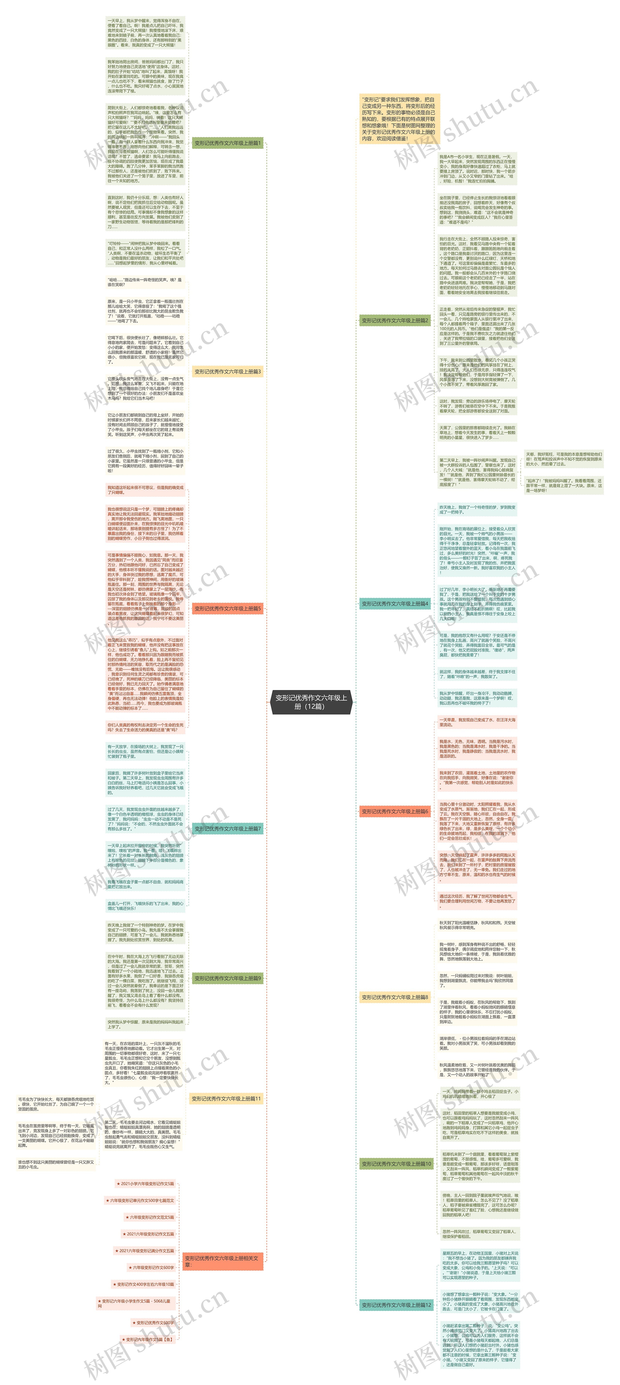 变形记优秀作文六年级上册（12篇）思维导图