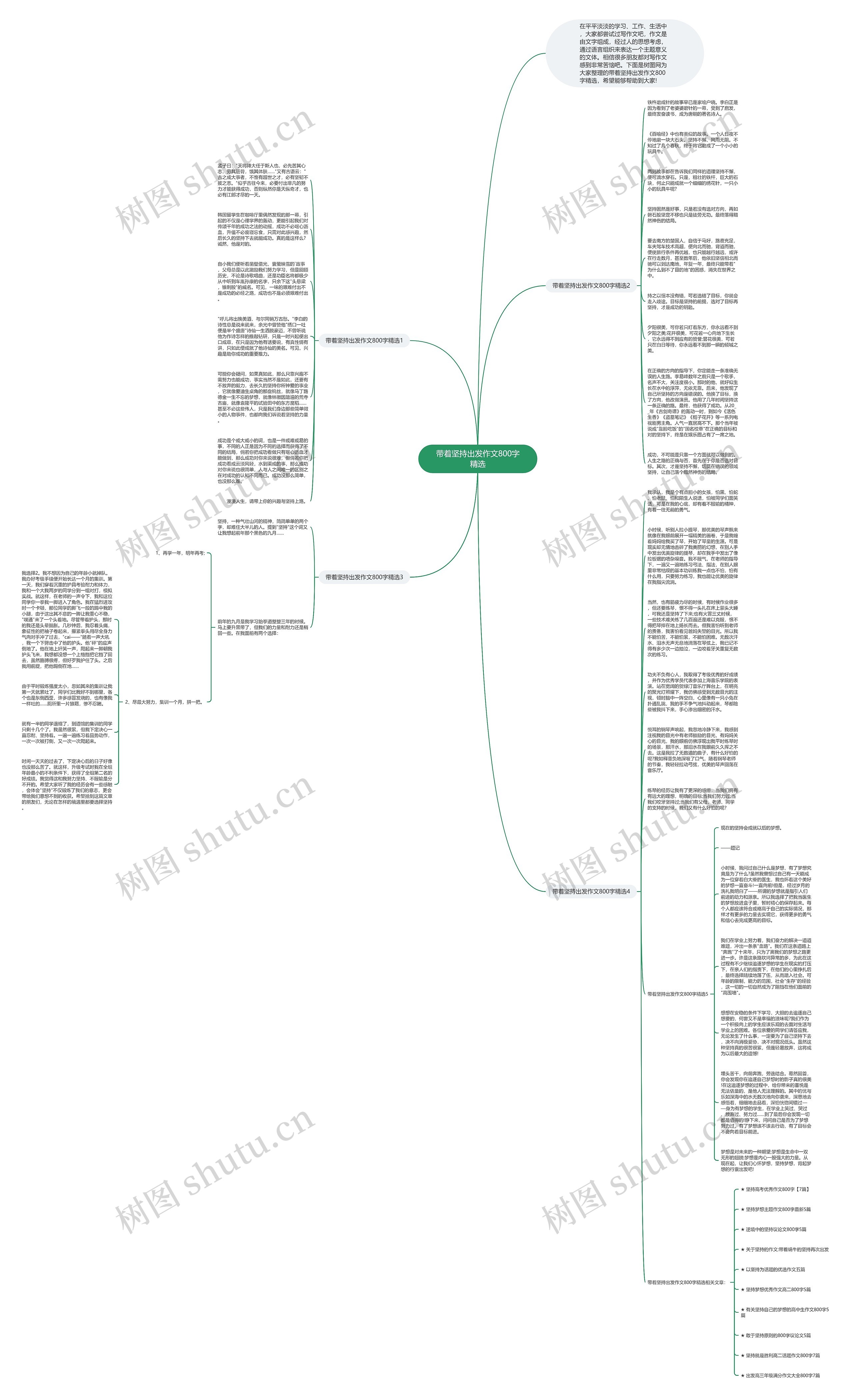 带着坚持出发作文800字精选思维导图