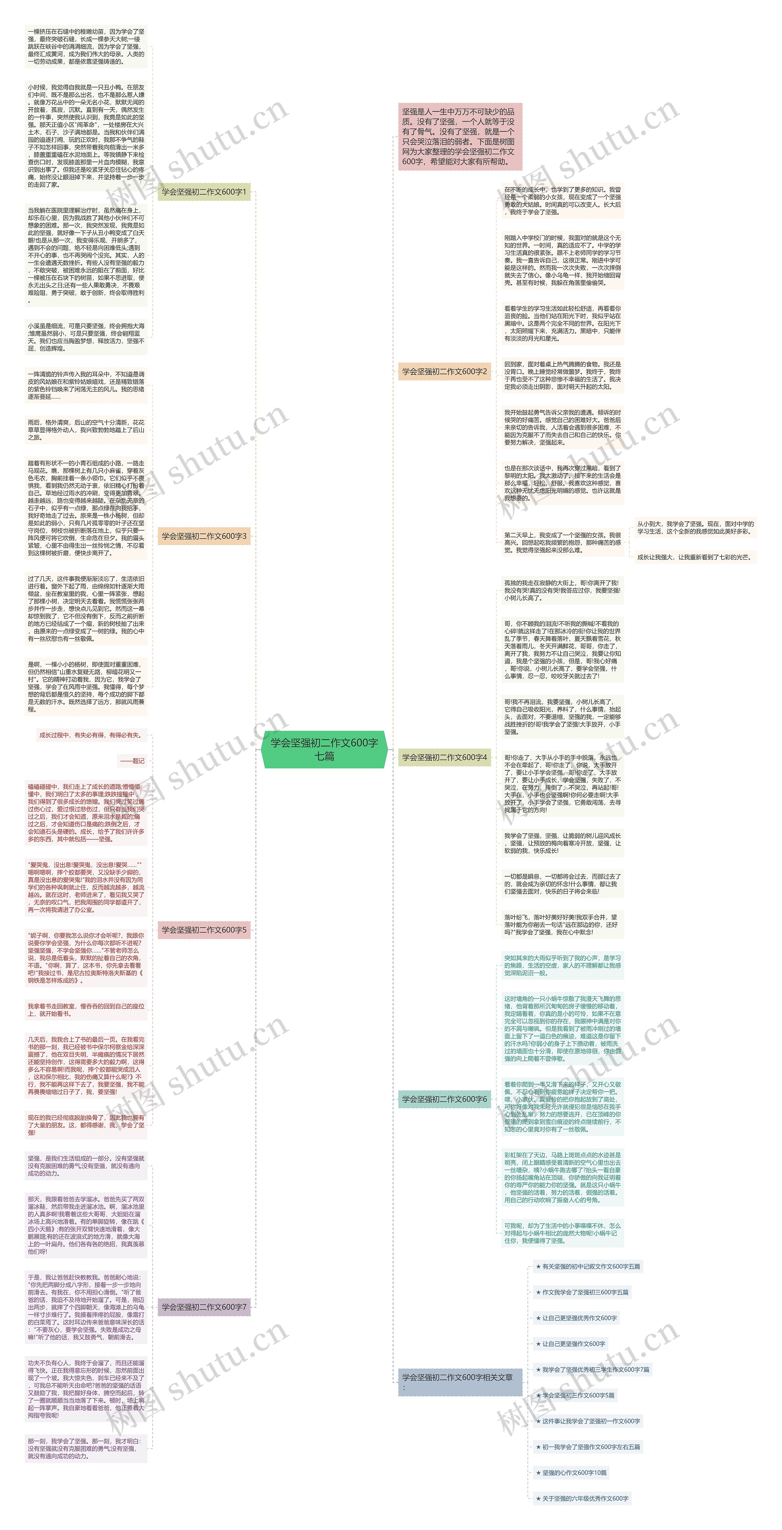 学会坚强初二作文600字七篇思维导图