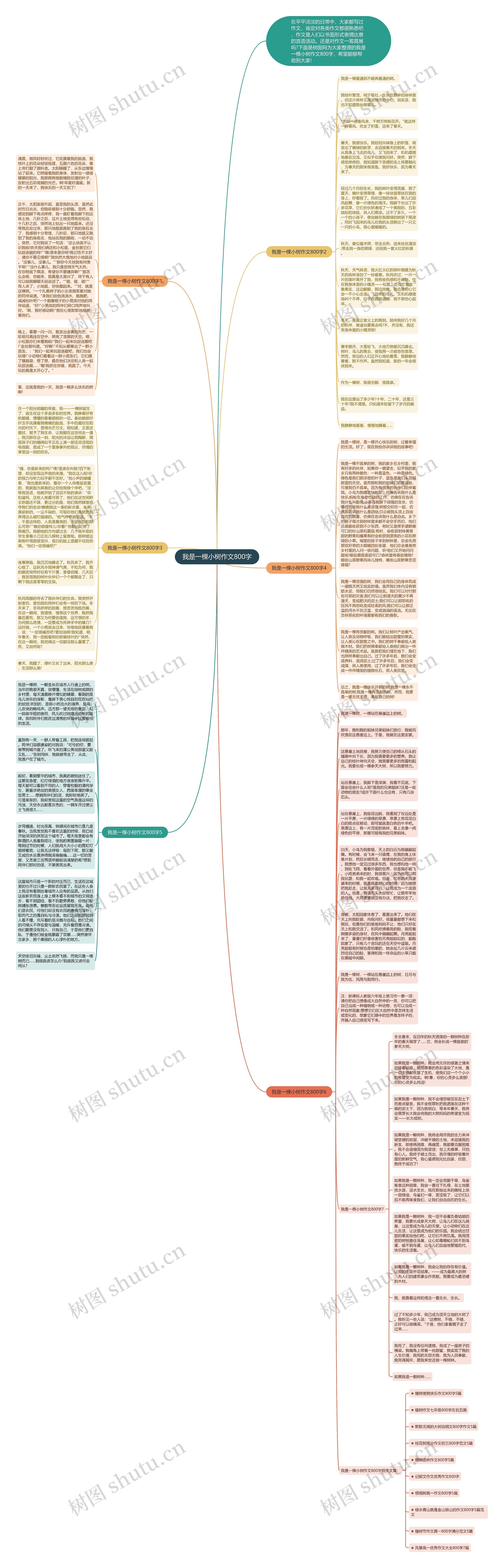 我是一棵小树作文800字思维导图高清图 我是一棵小树作文800字思维导图