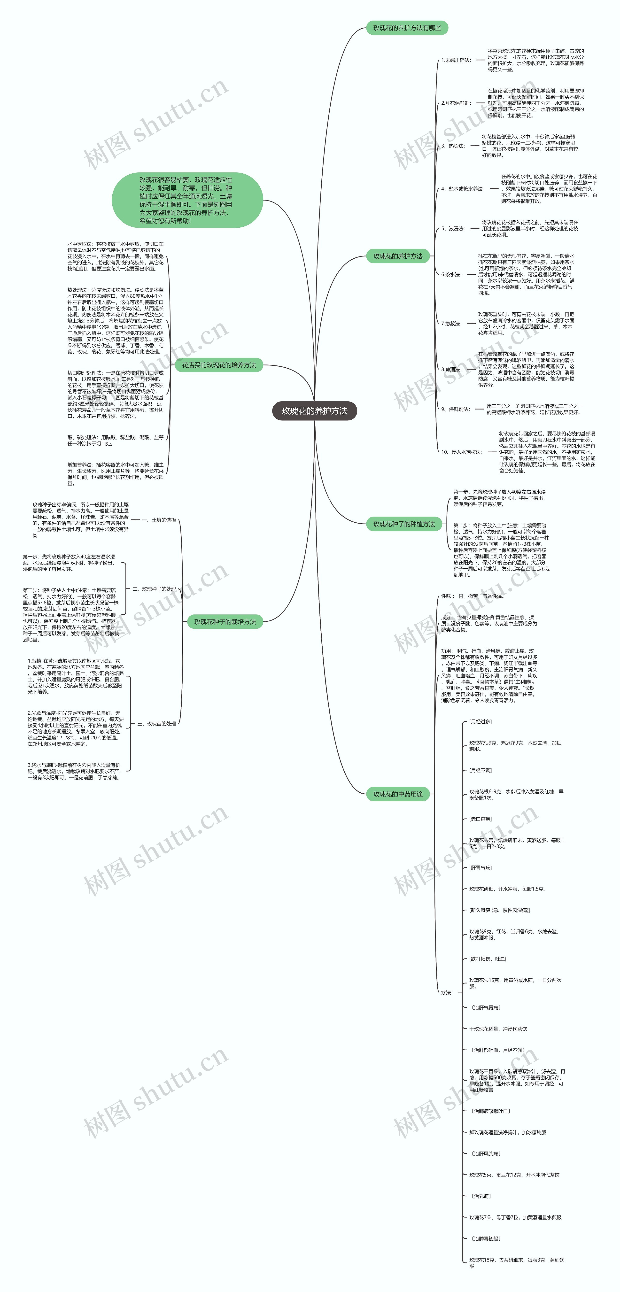 玫瑰花的养护方法思维导图