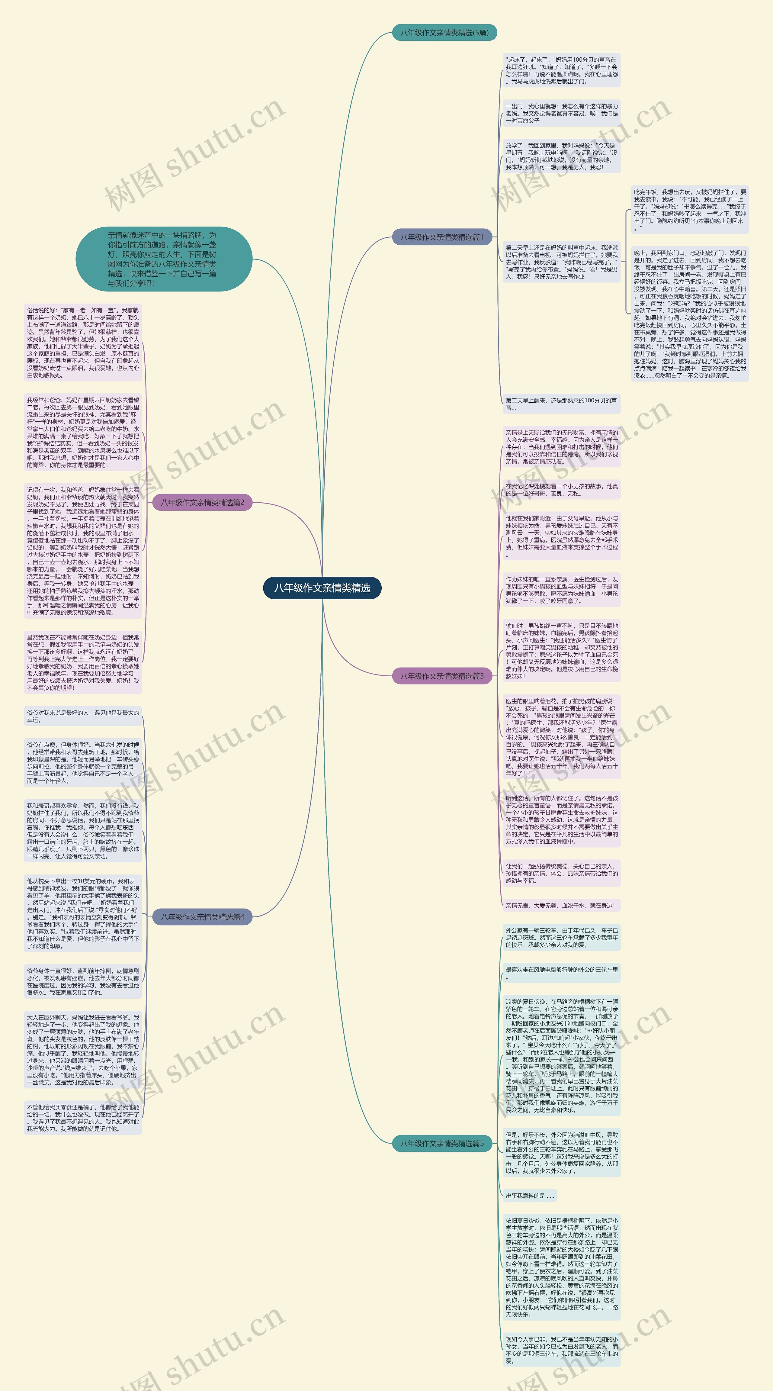 八年级作文亲情类精选思维导图