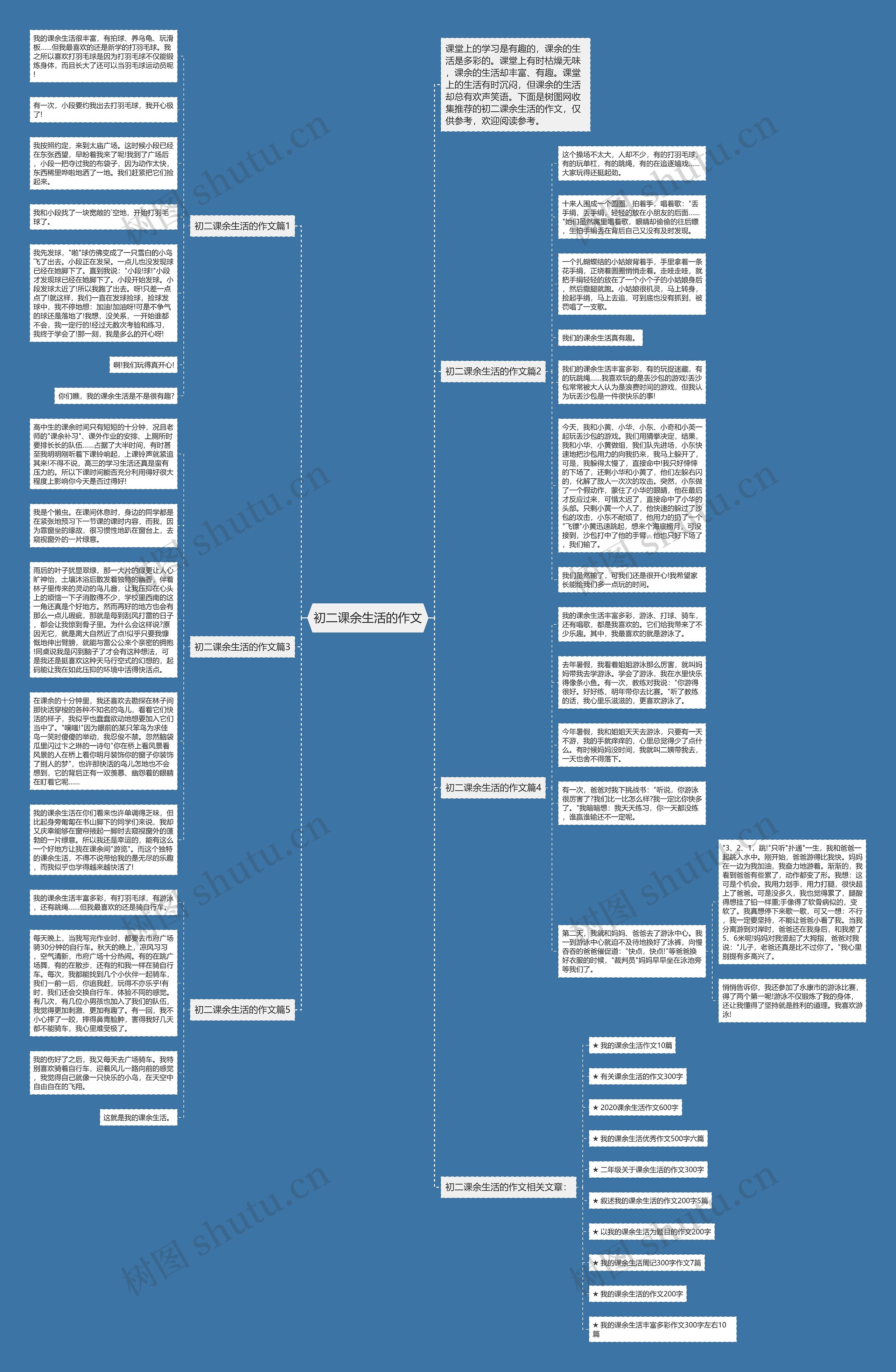 初二课余生活的作文思维导图