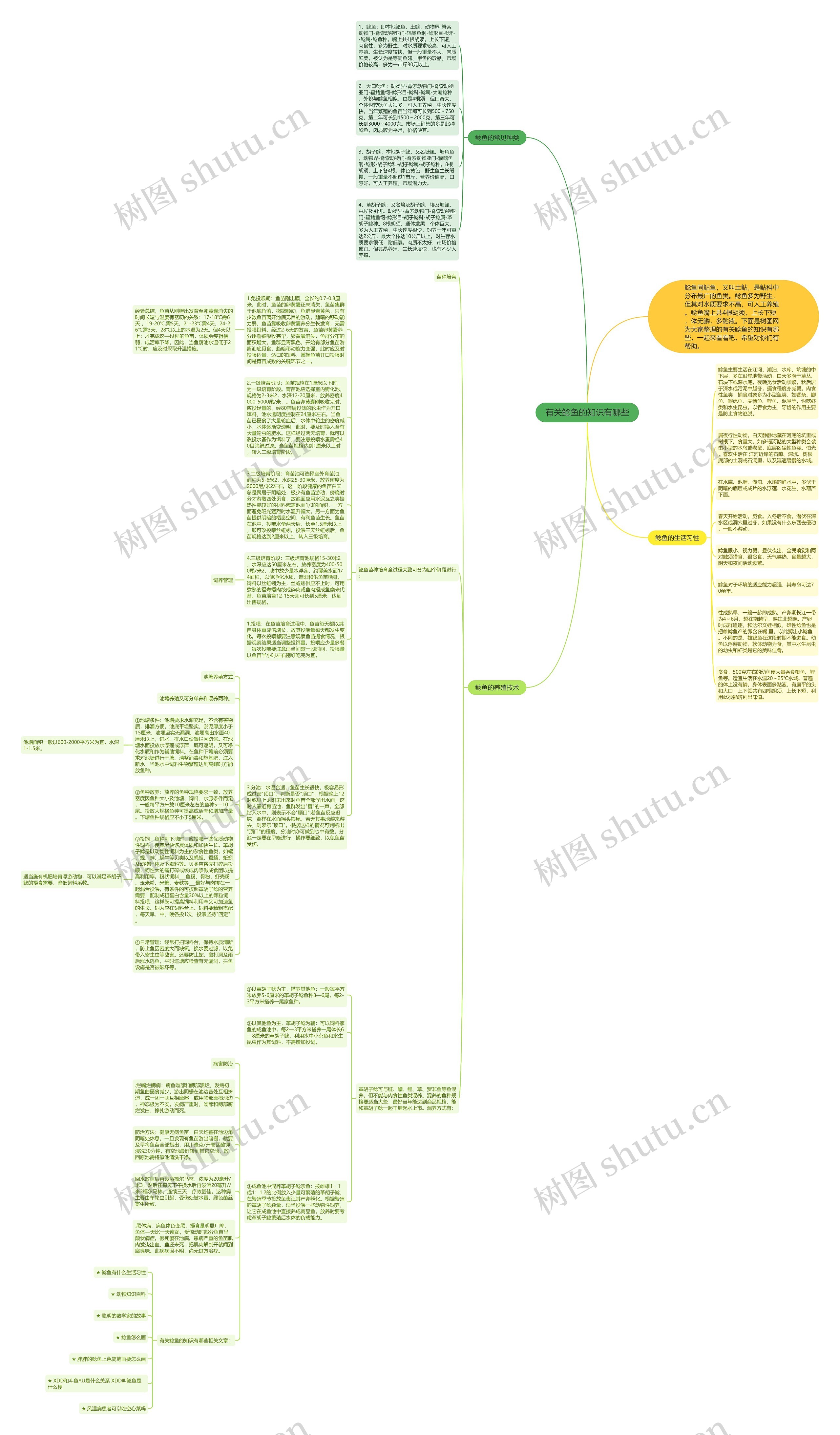 有关鲶鱼的知识有哪些思维导图