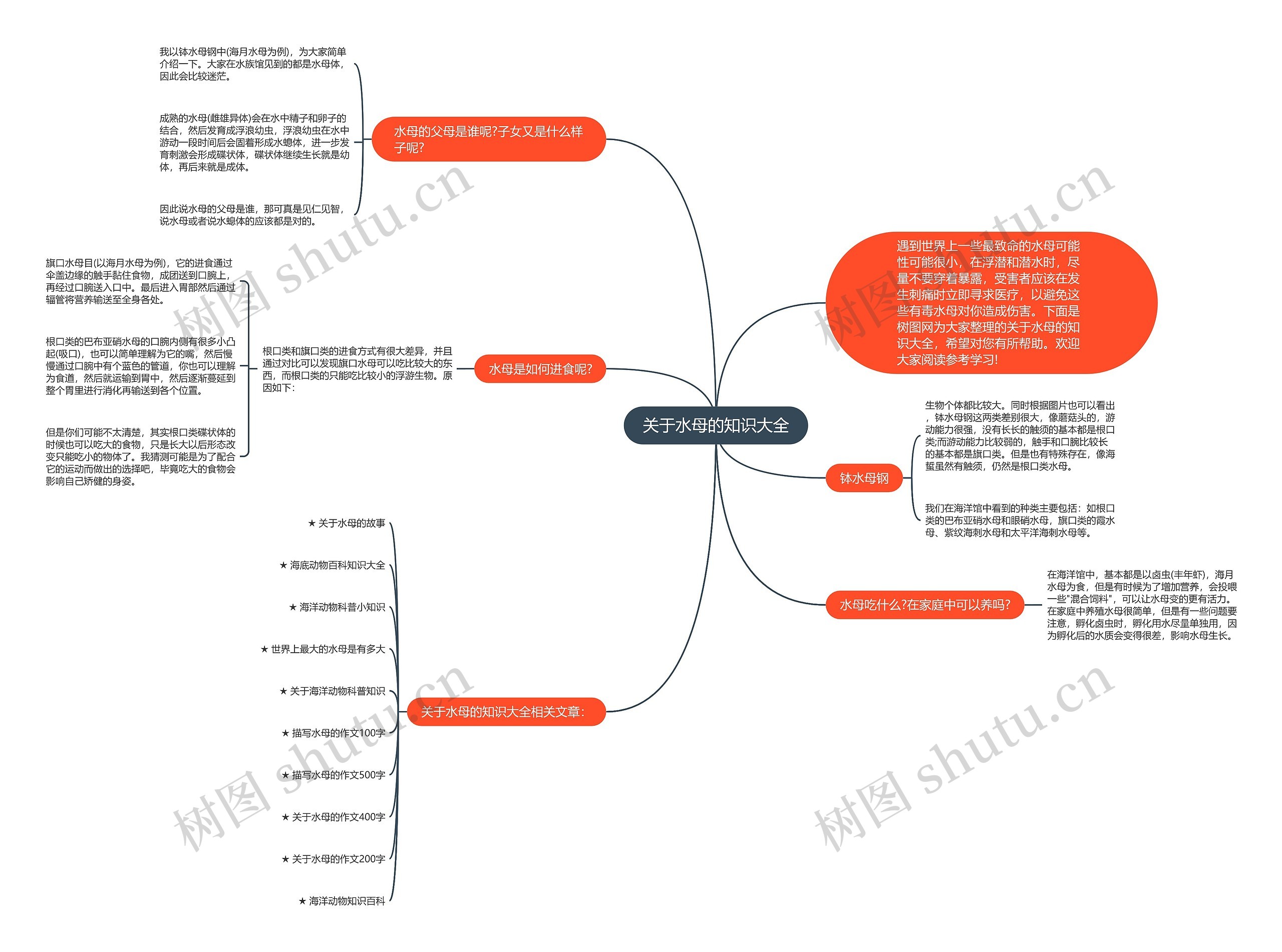 关于水母的知识大全思维导图