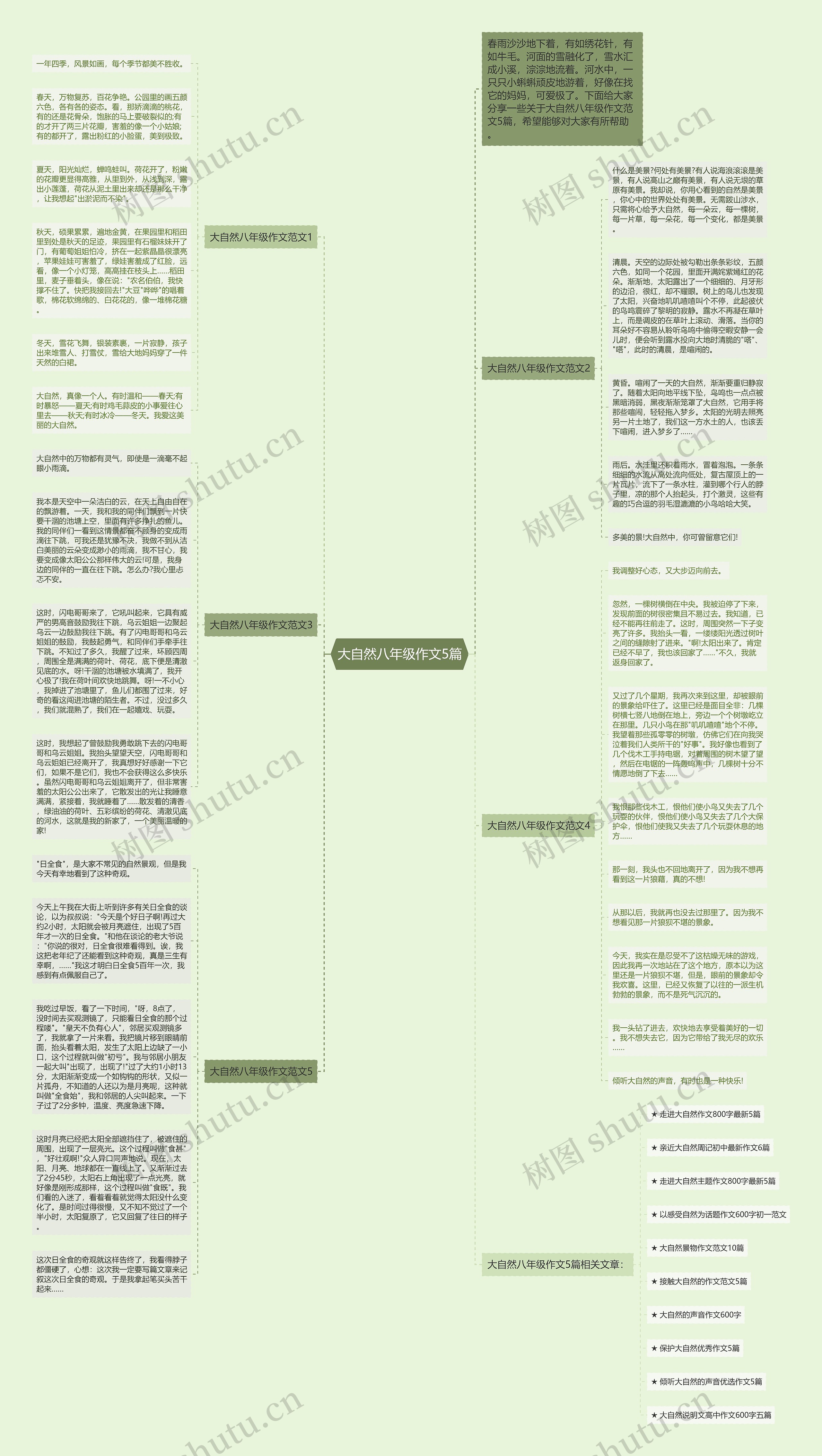 大自然八年级作文5篇思维导图