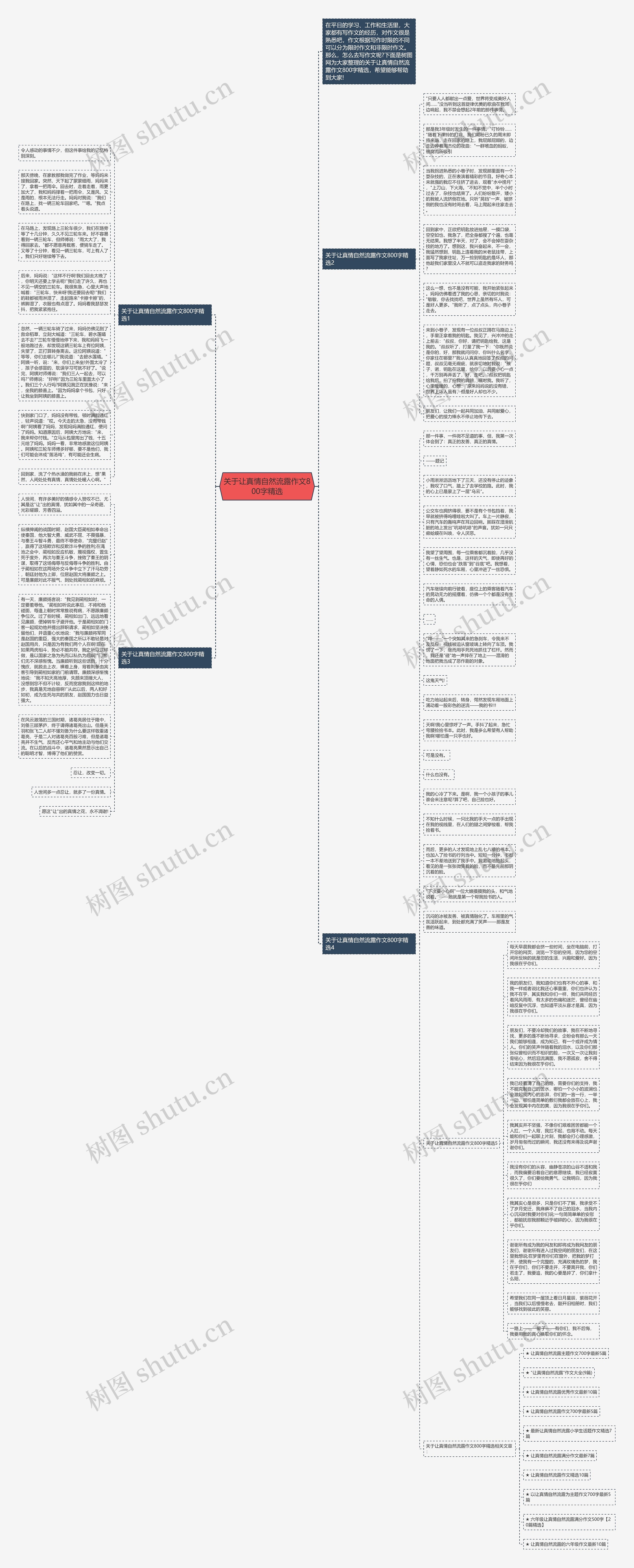关于让真情自然流露作文800字精选思维导图