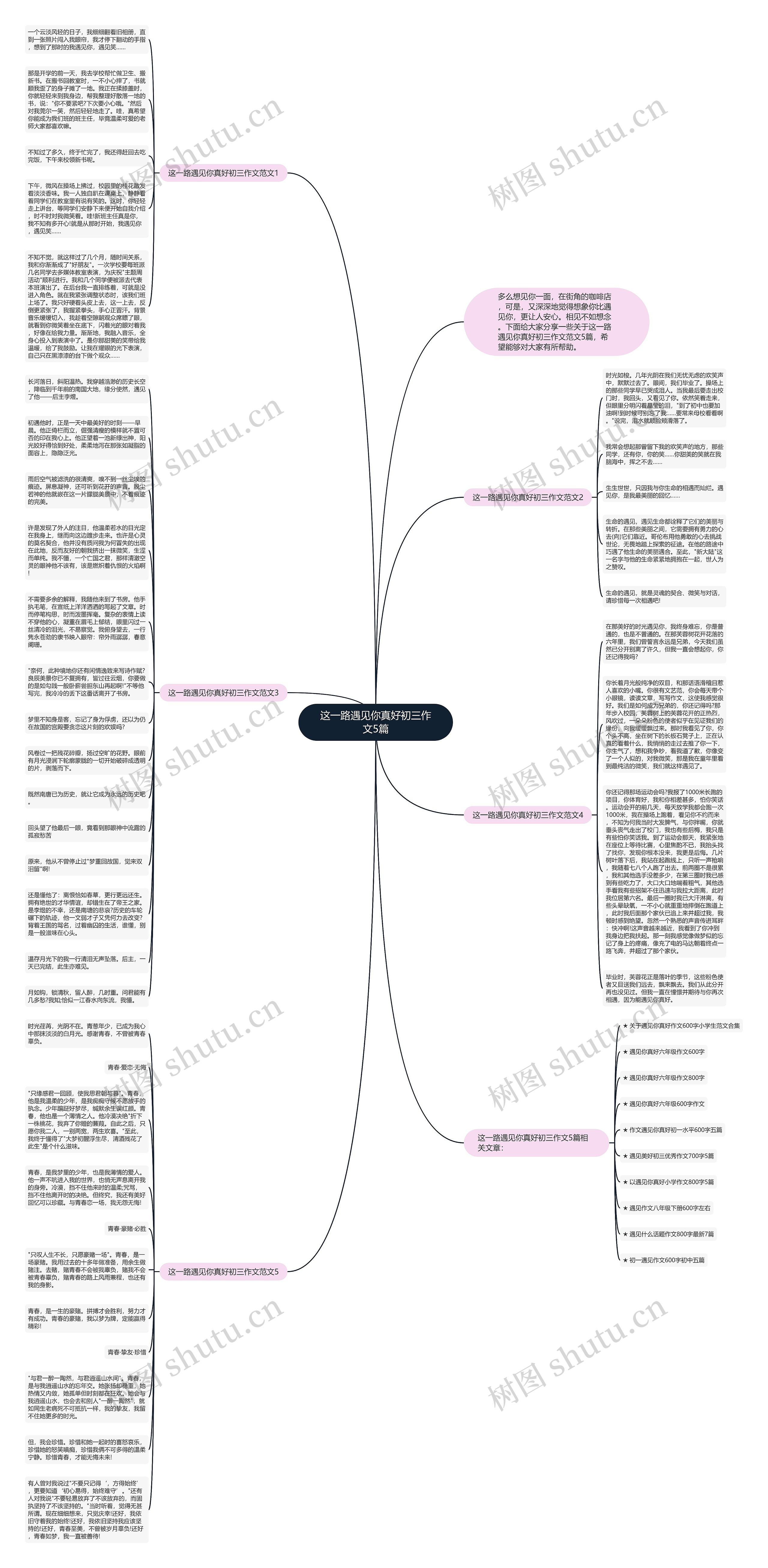 这一路遇见你真好初三作文5篇思维导图
