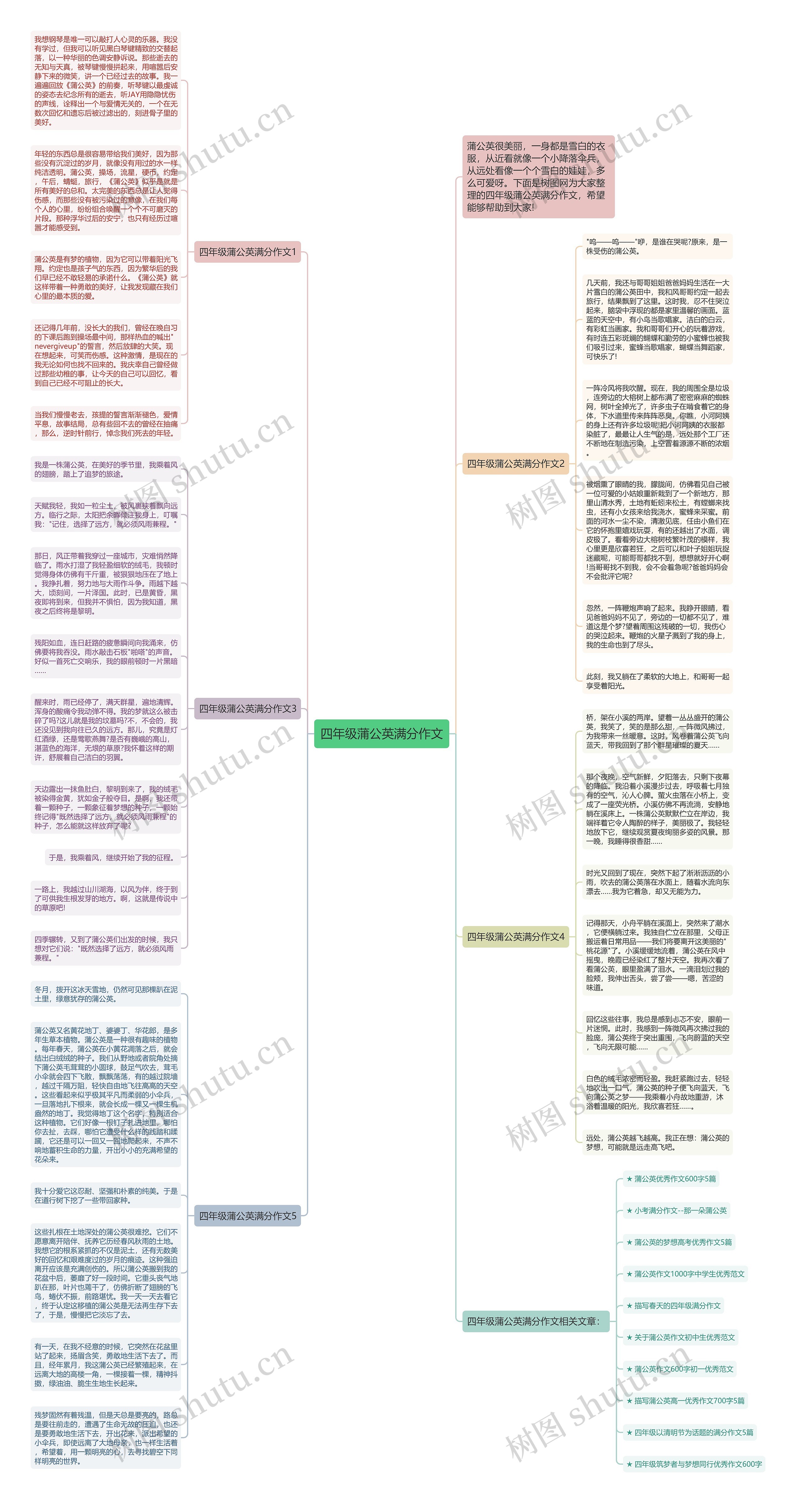 四年级蒲公英满分作文思维导图