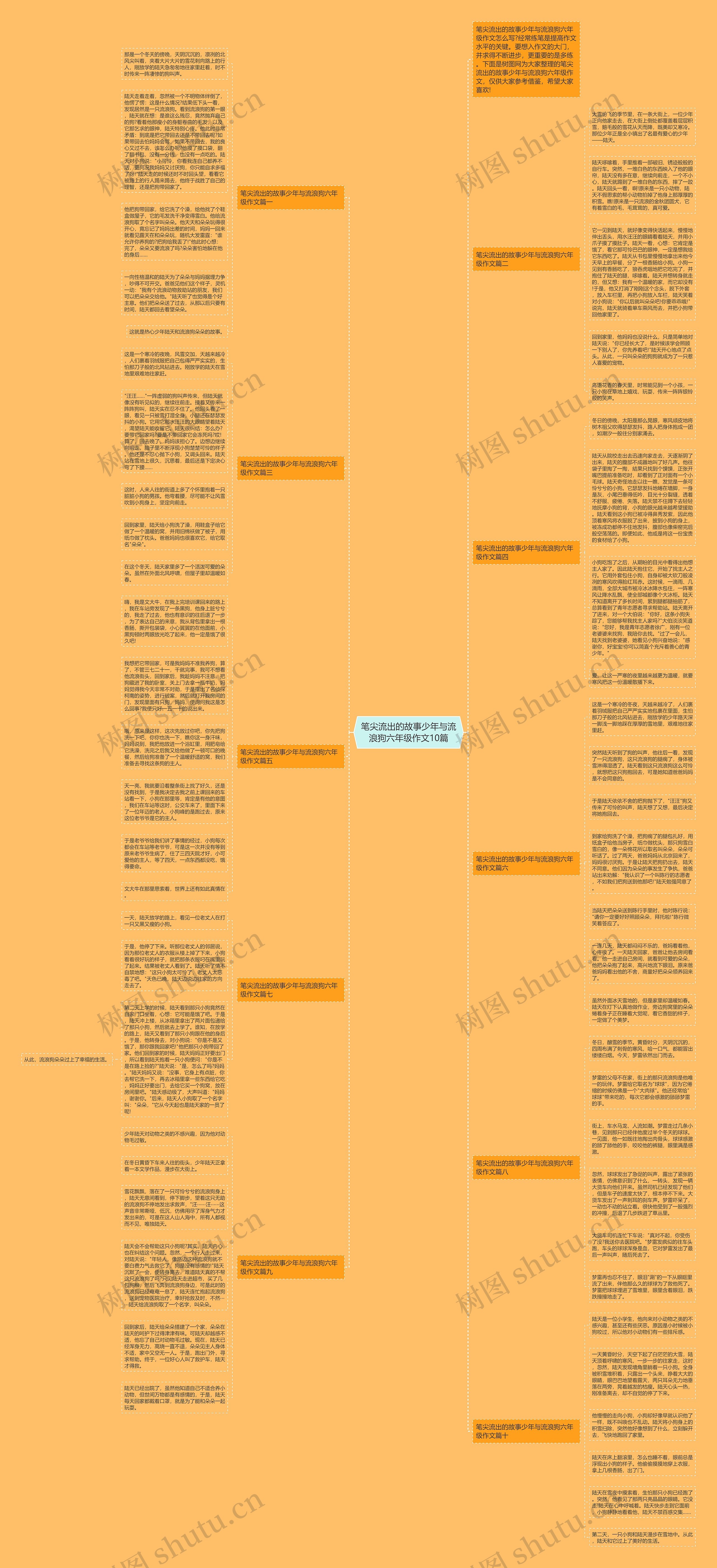 笔尖流出的故事少年与流浪狗六年级作文10篇思维导图