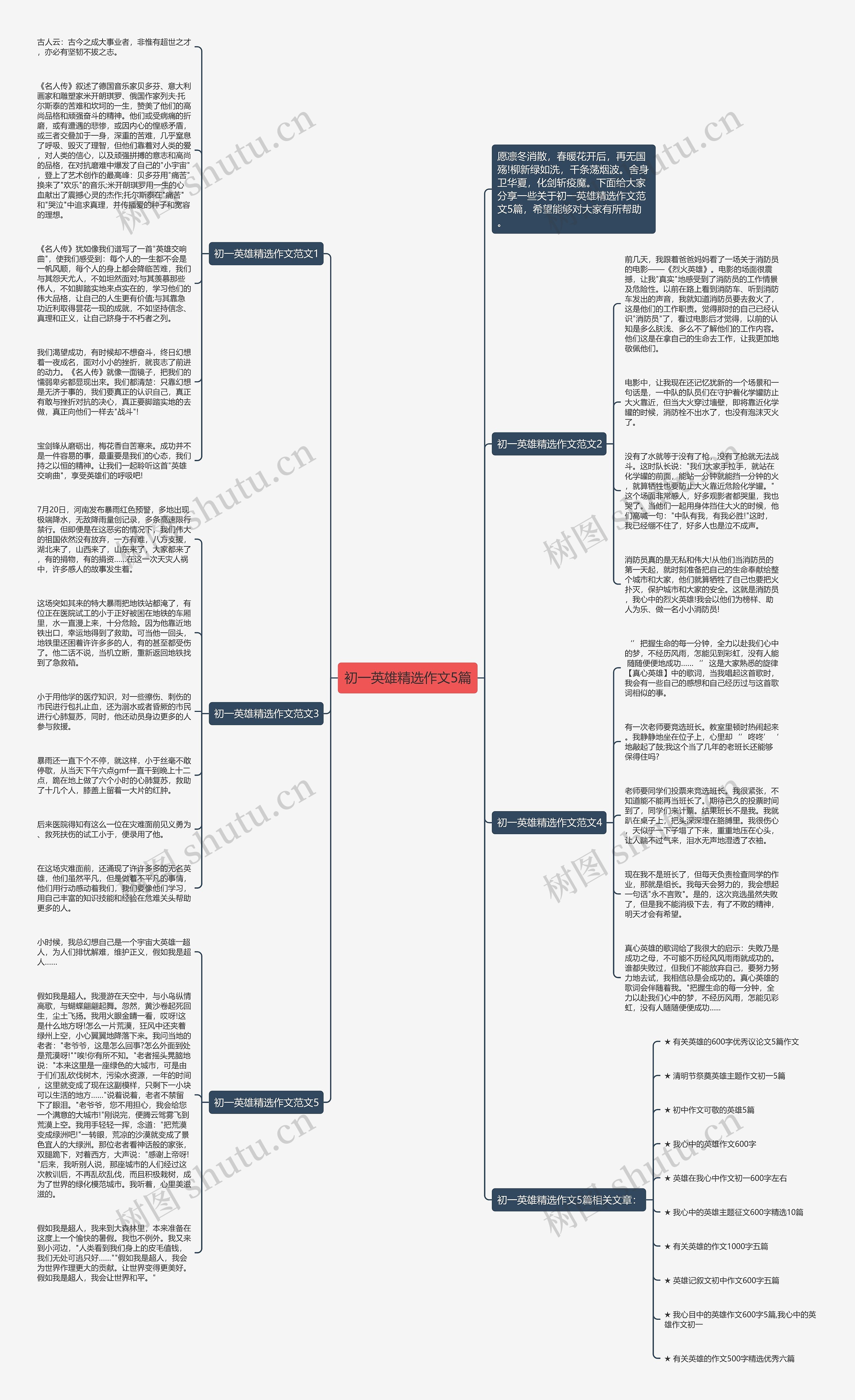初一英雄精选作文5篇思维导图