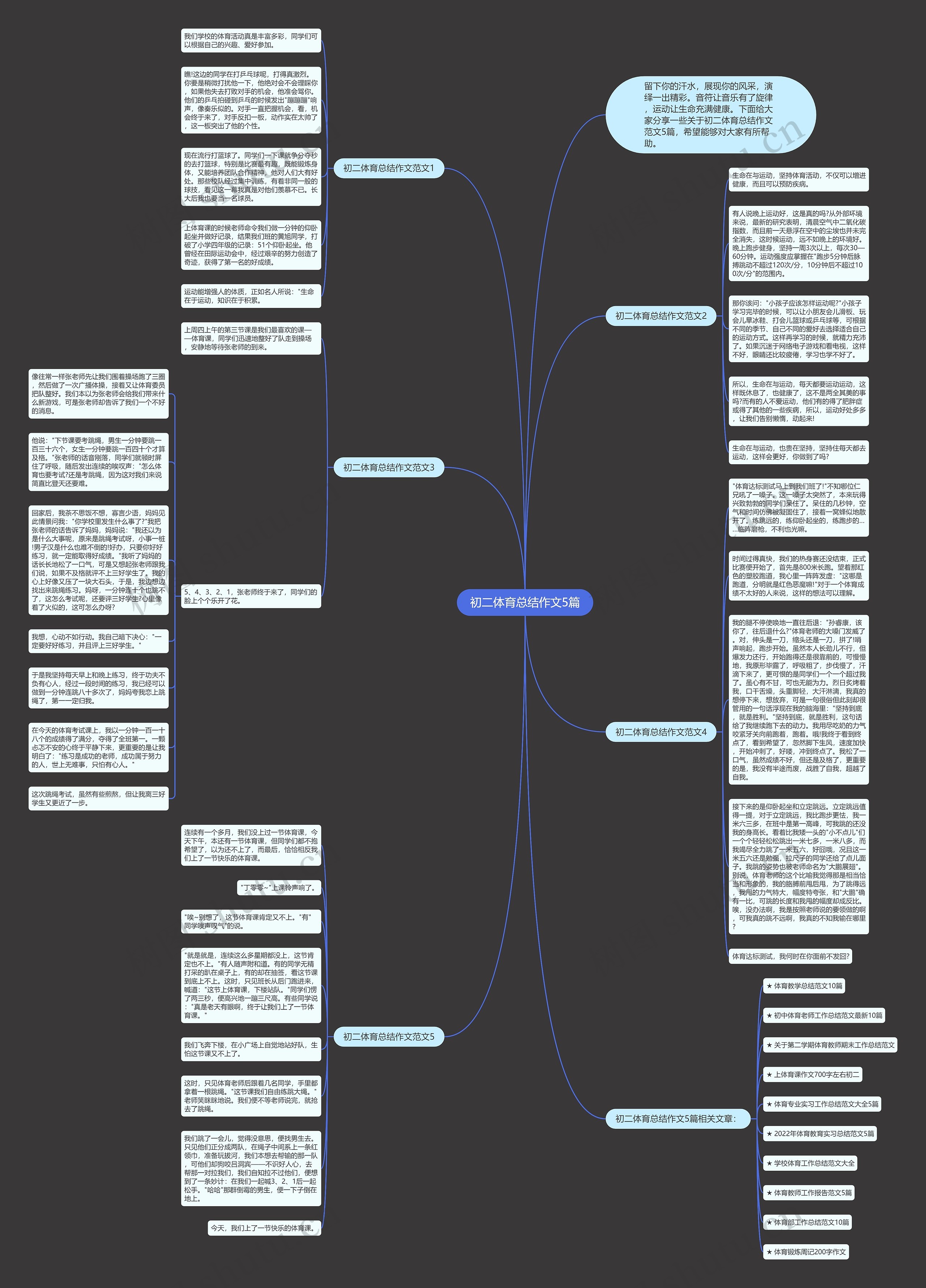 初二体育总结作文5篇思维导图