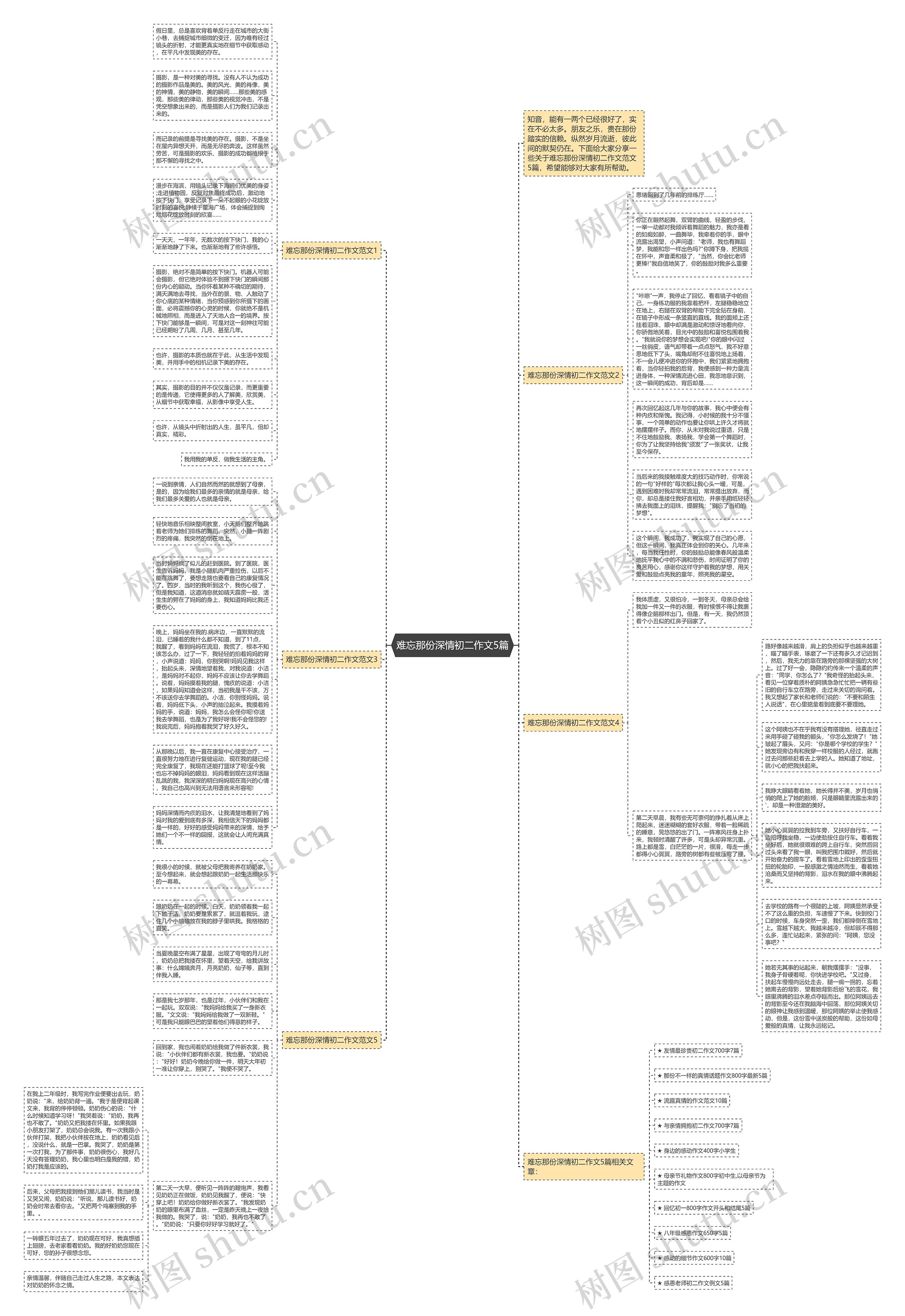 难忘那份深情初二作文5篇思维导图