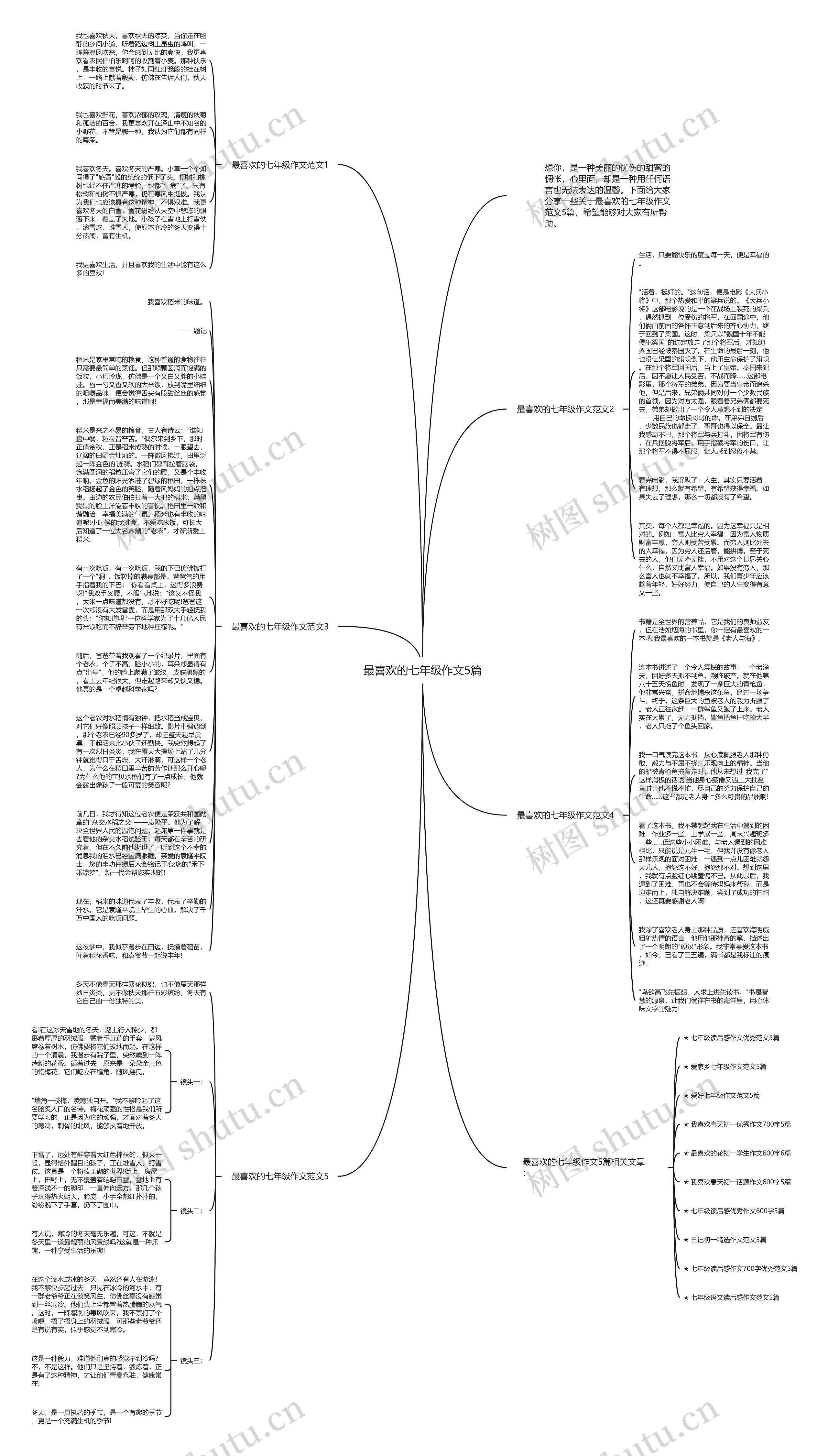 最喜欢的七年级作文5篇思维导图