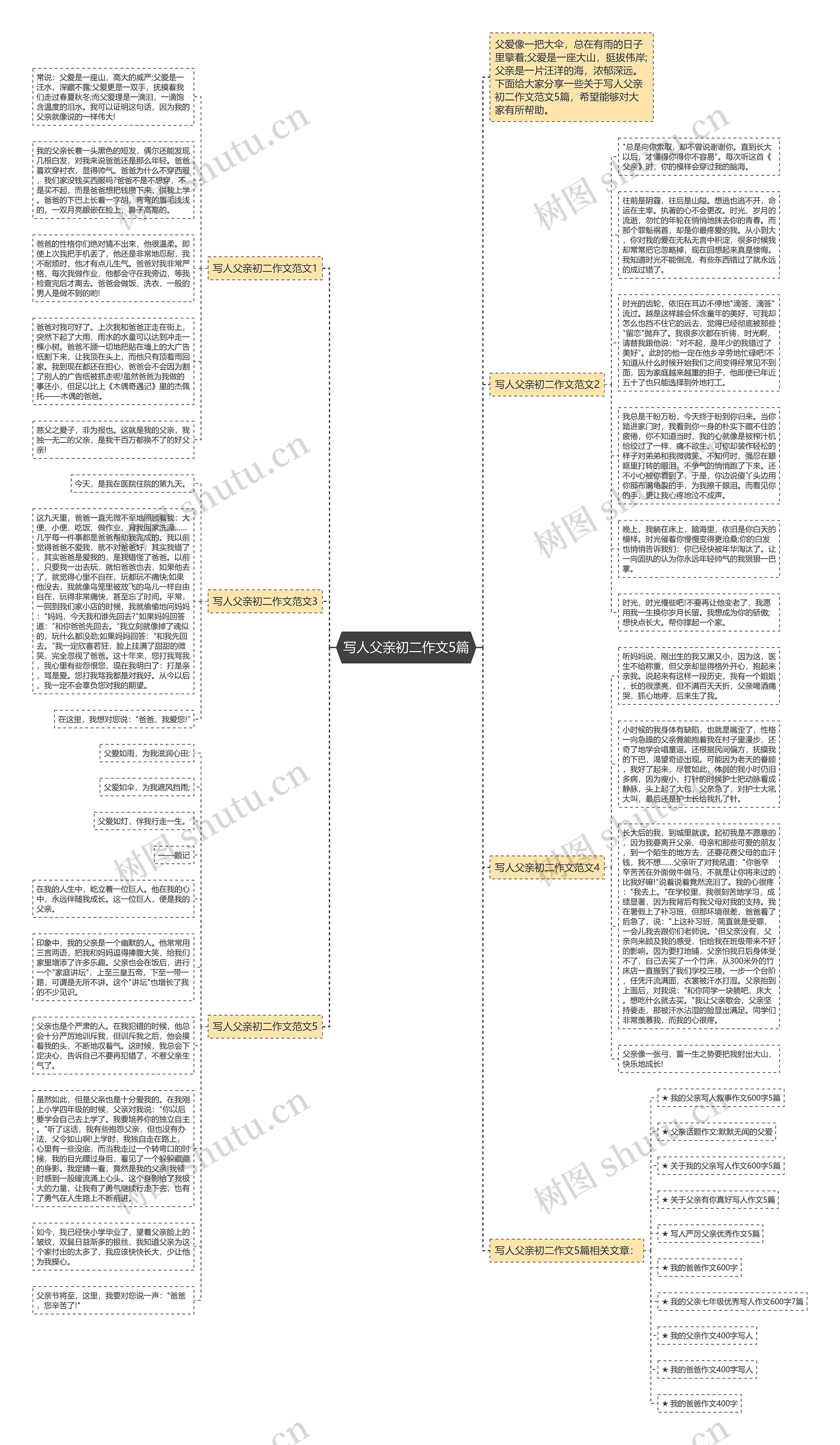 写人父亲初二作文5篇思维导图