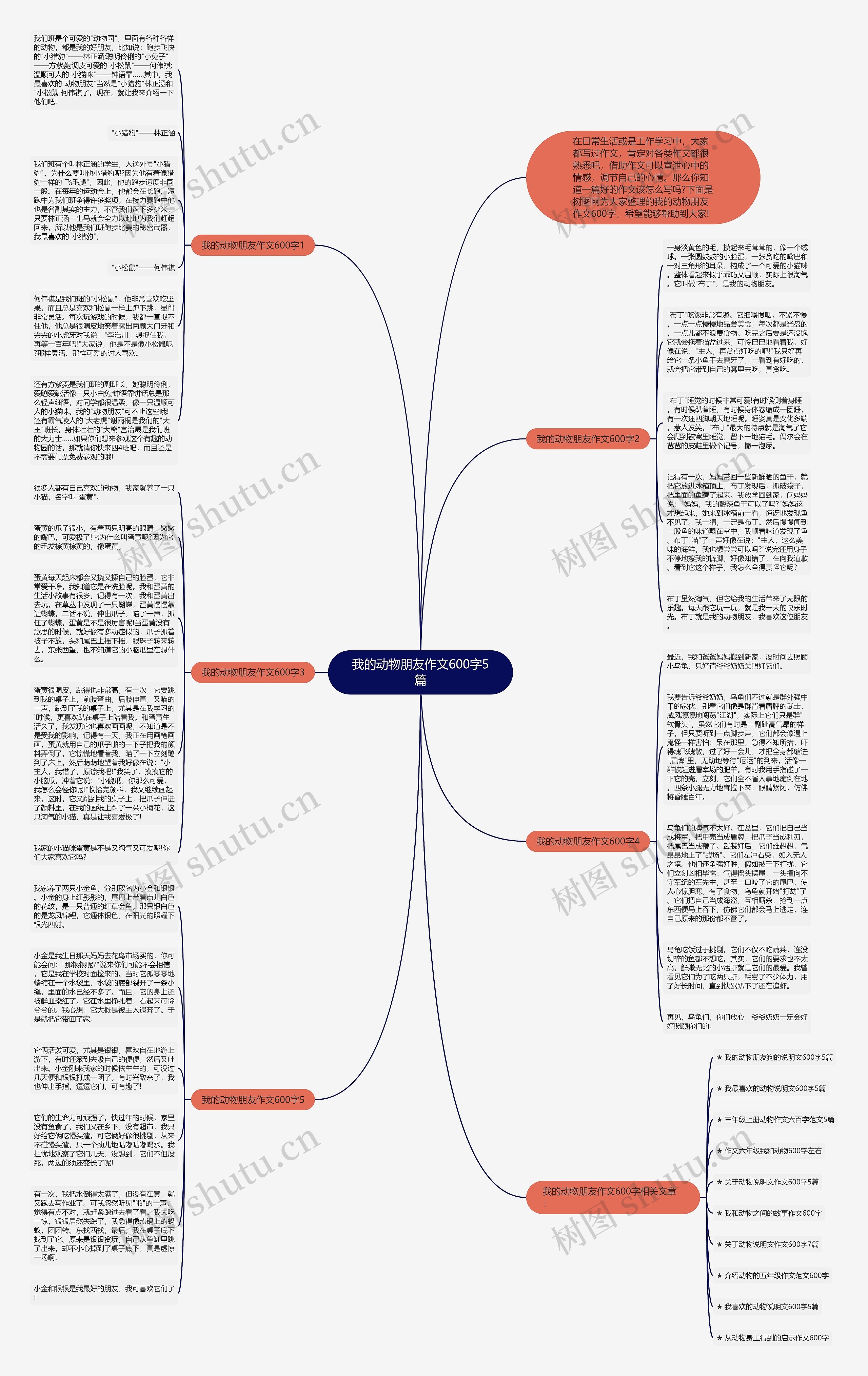 我的动物朋友作文600字5篇思维导图