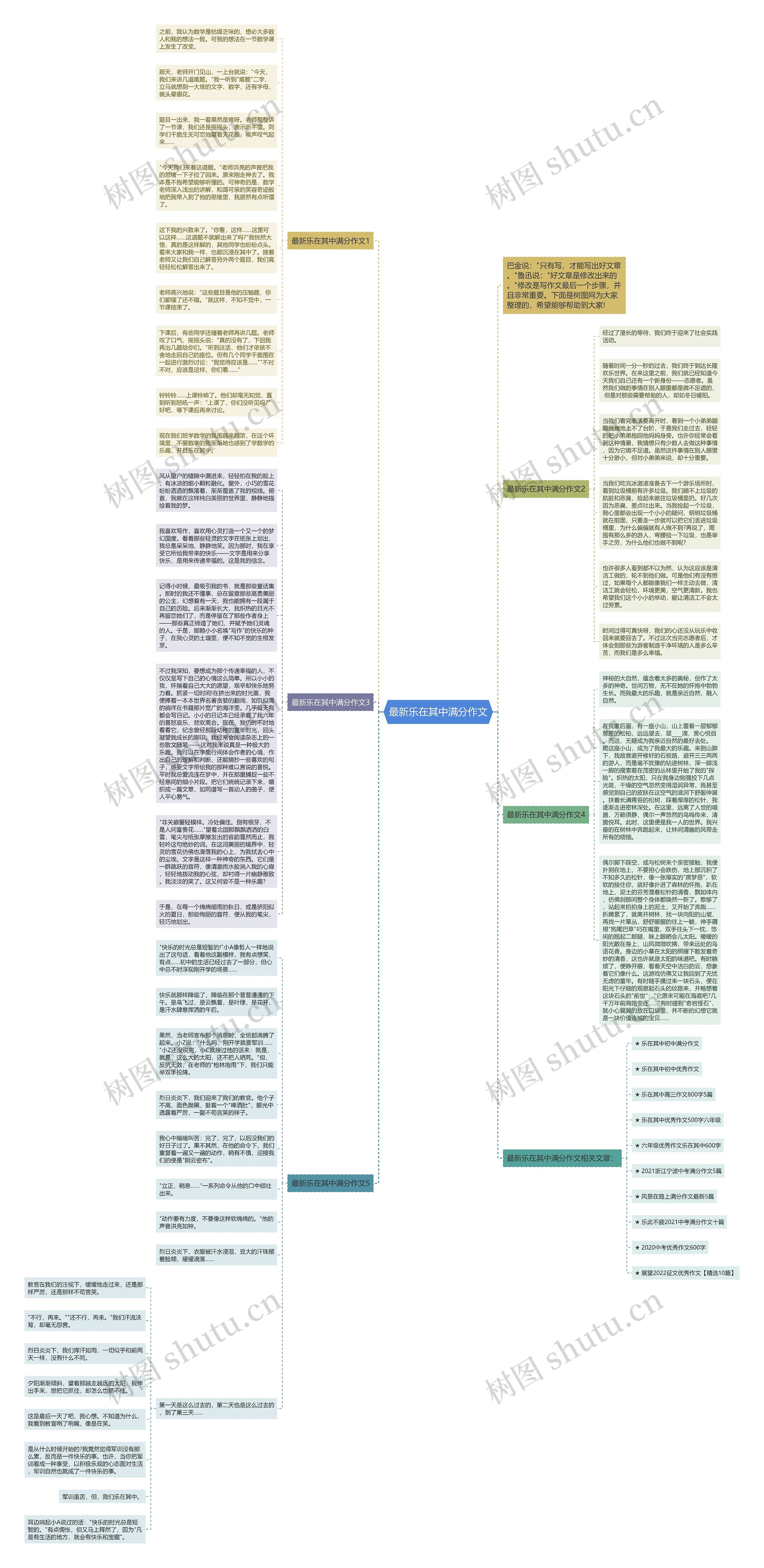 最新乐在其中满分作文思维导图