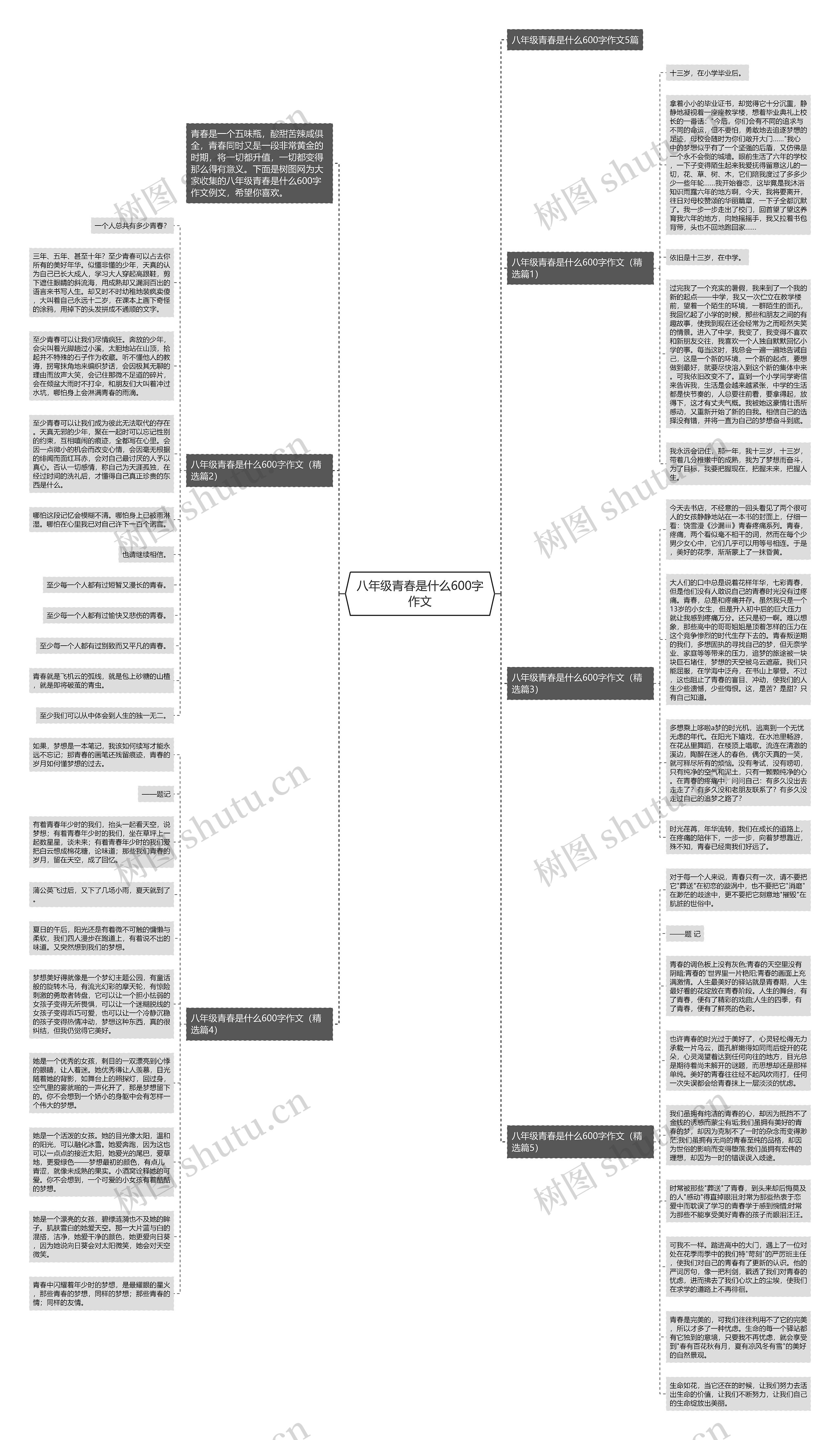 八年级青春是什么600字作文