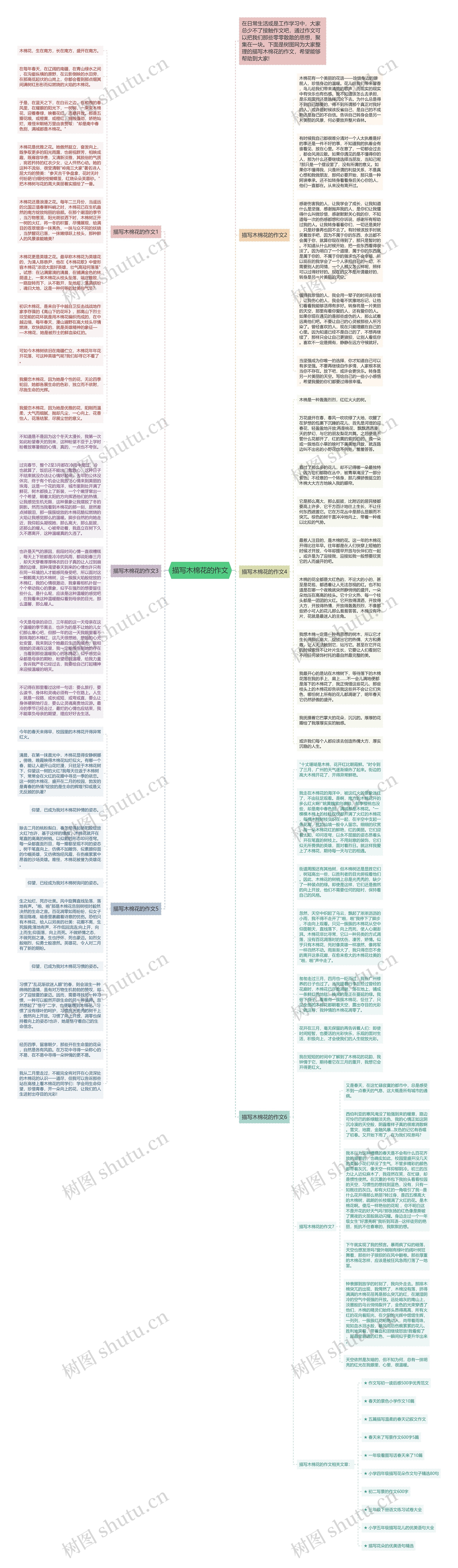 描写木棉花的作文思维导图