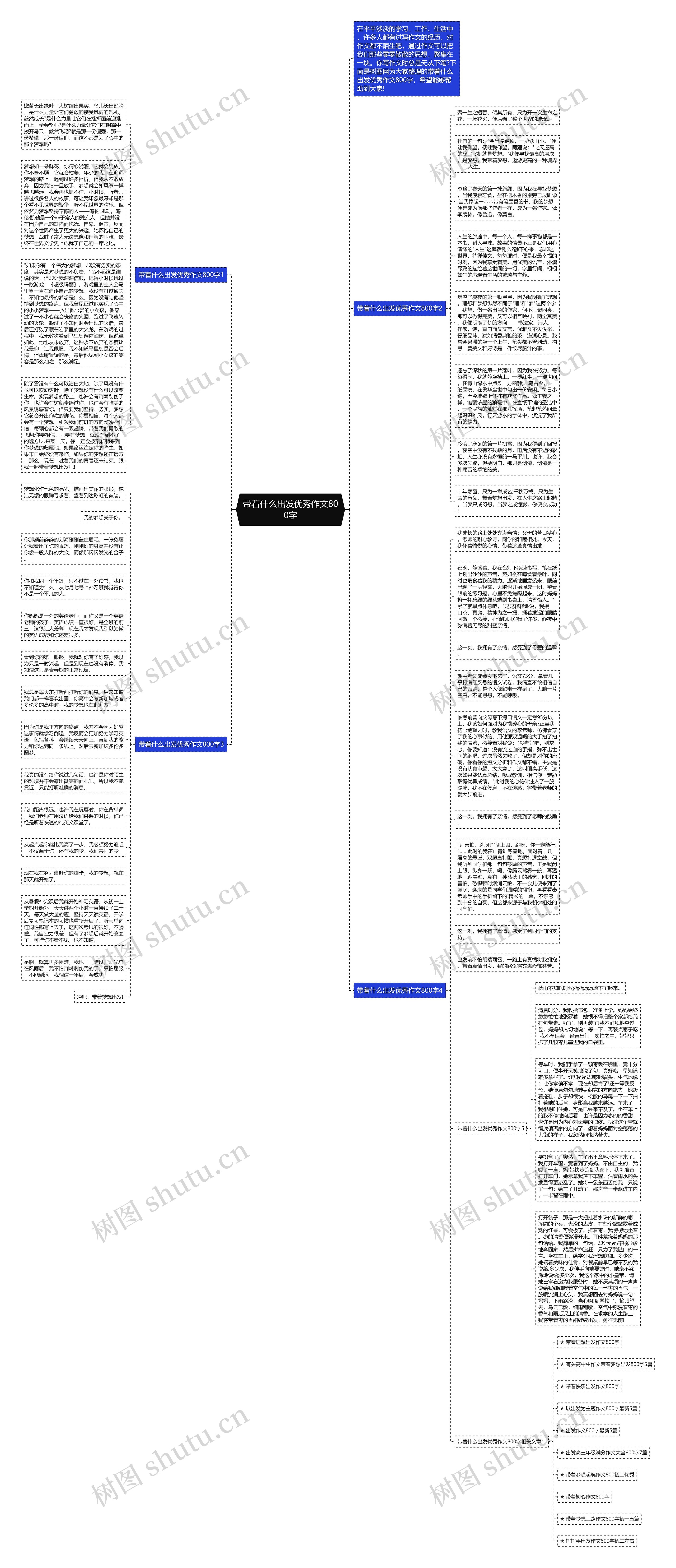 带着什么出发优秀作文800字思维导图