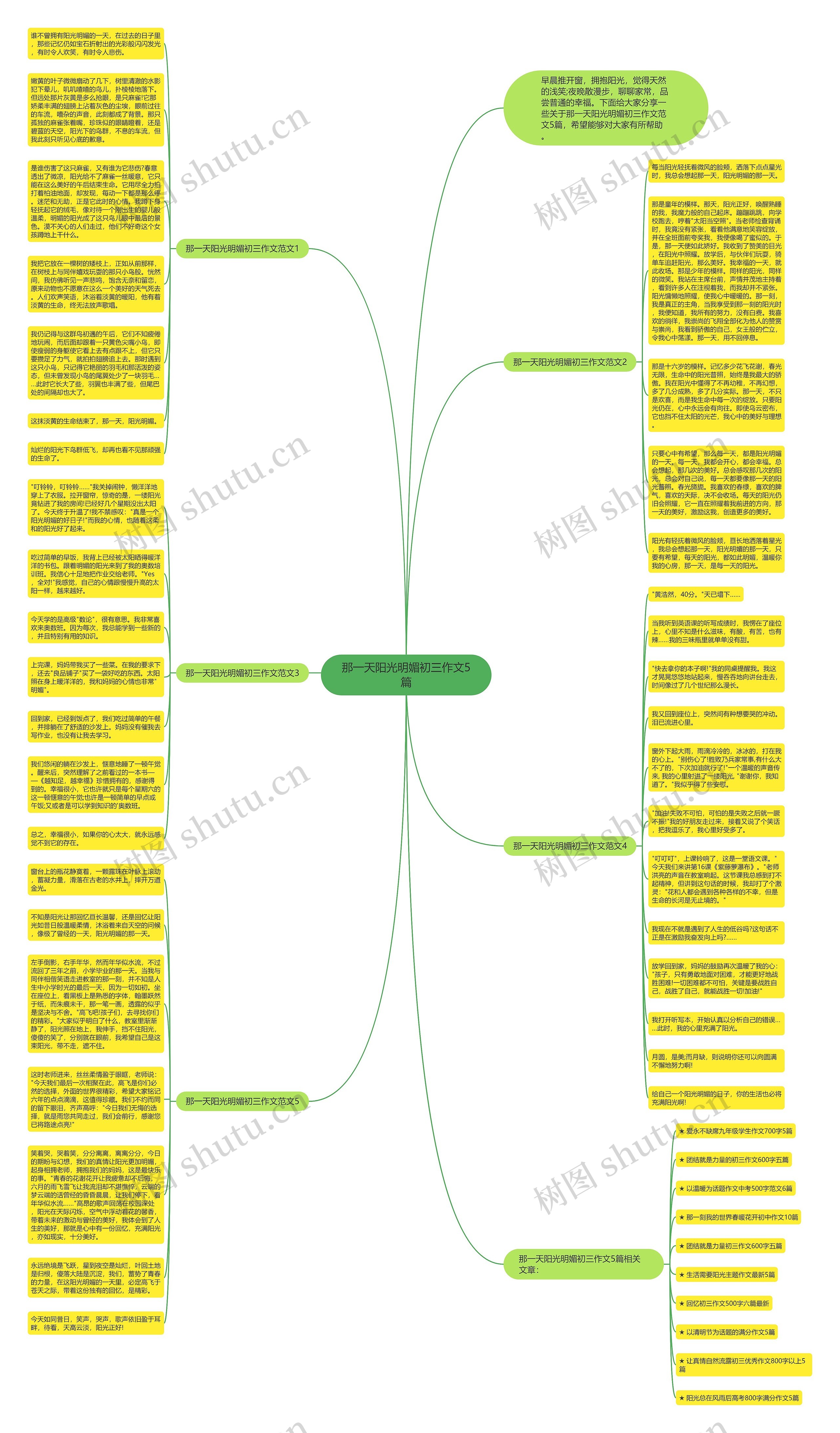 那一天阳光明媚初三作文5篇思维导图