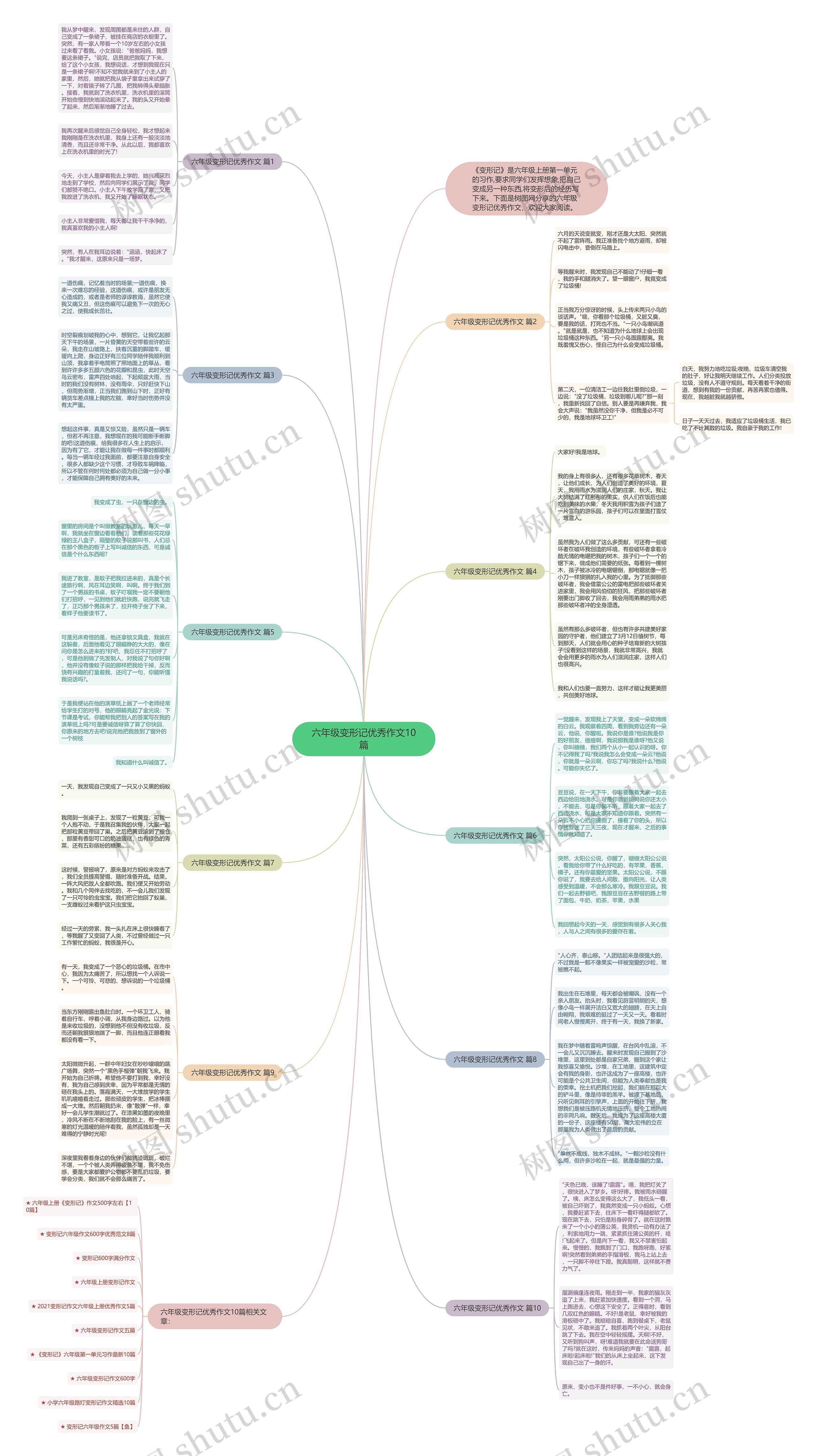 六年级变形记优秀作文10篇思维导图