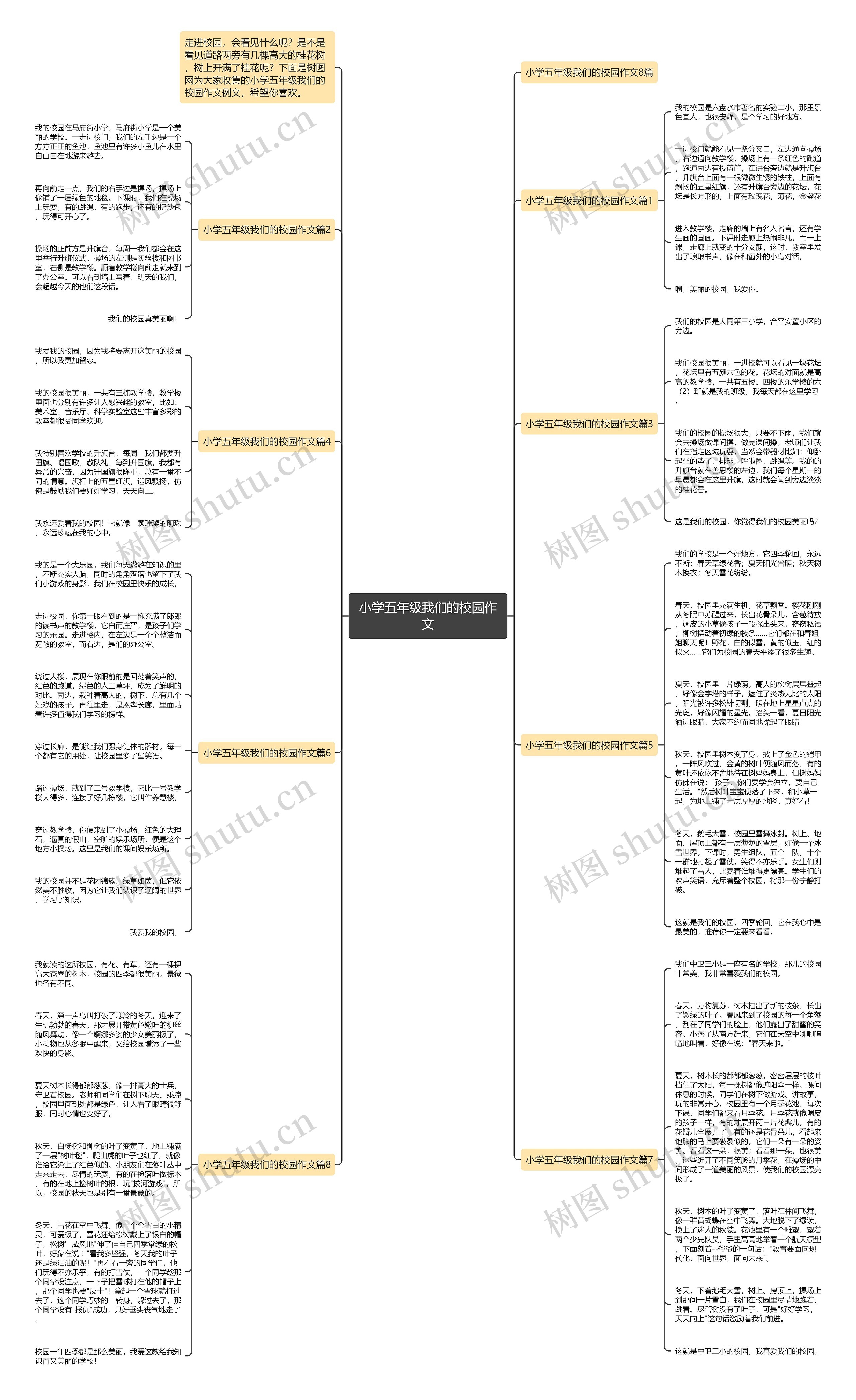 小学五年级我们的校园作文思维导图