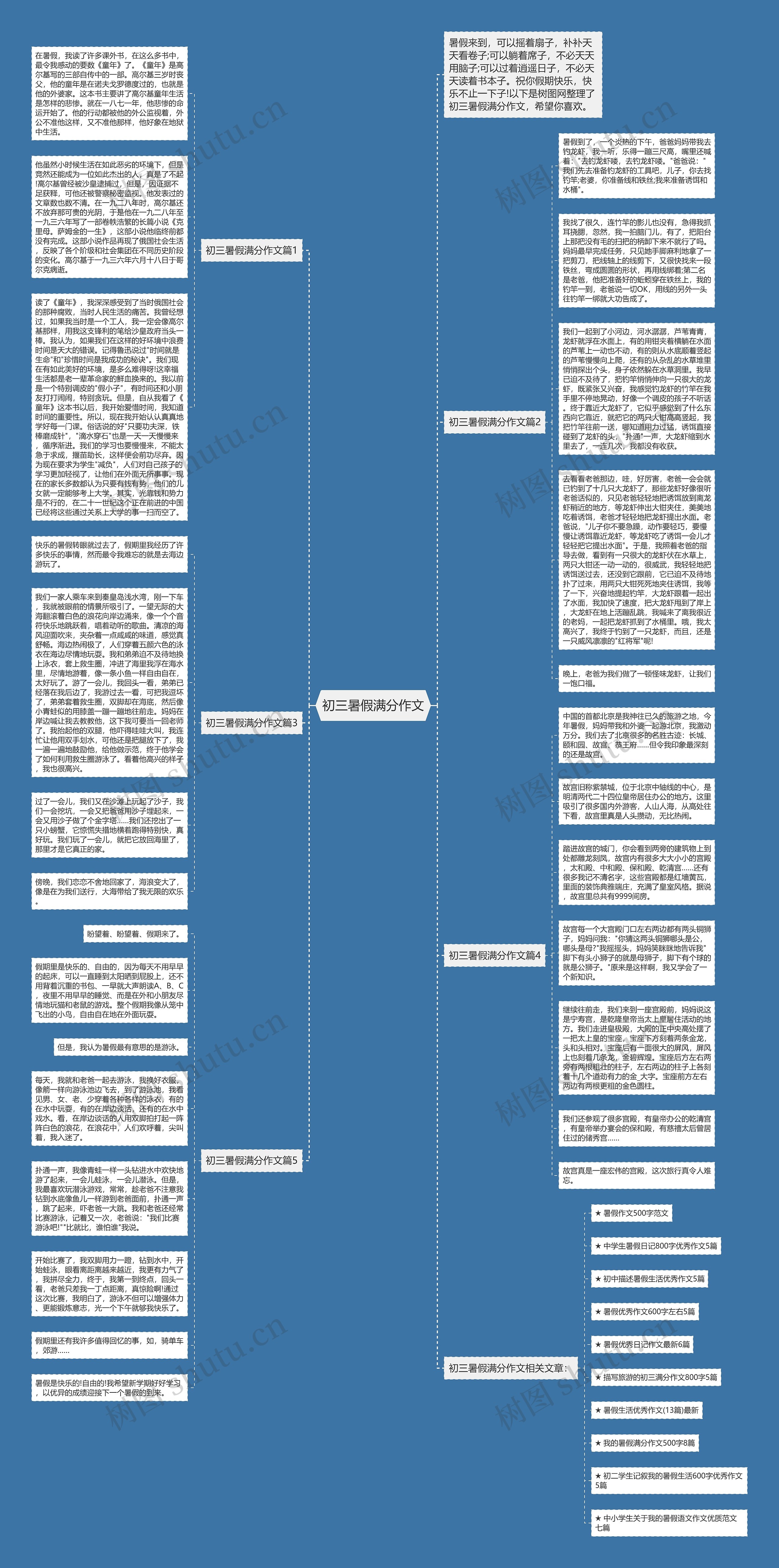 初三暑假满分作文思维导图