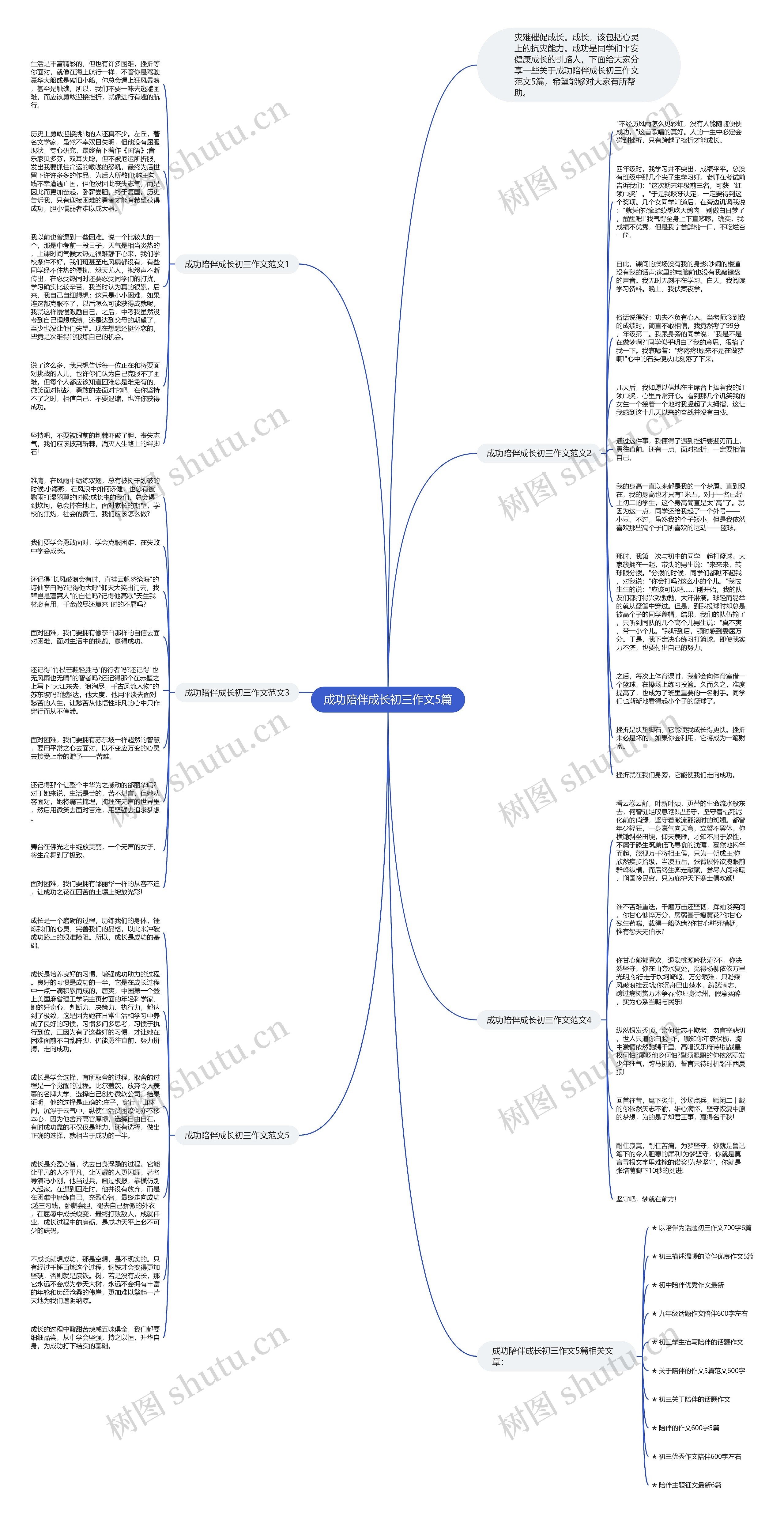 成功陪伴成长初三作文5篇思维导图