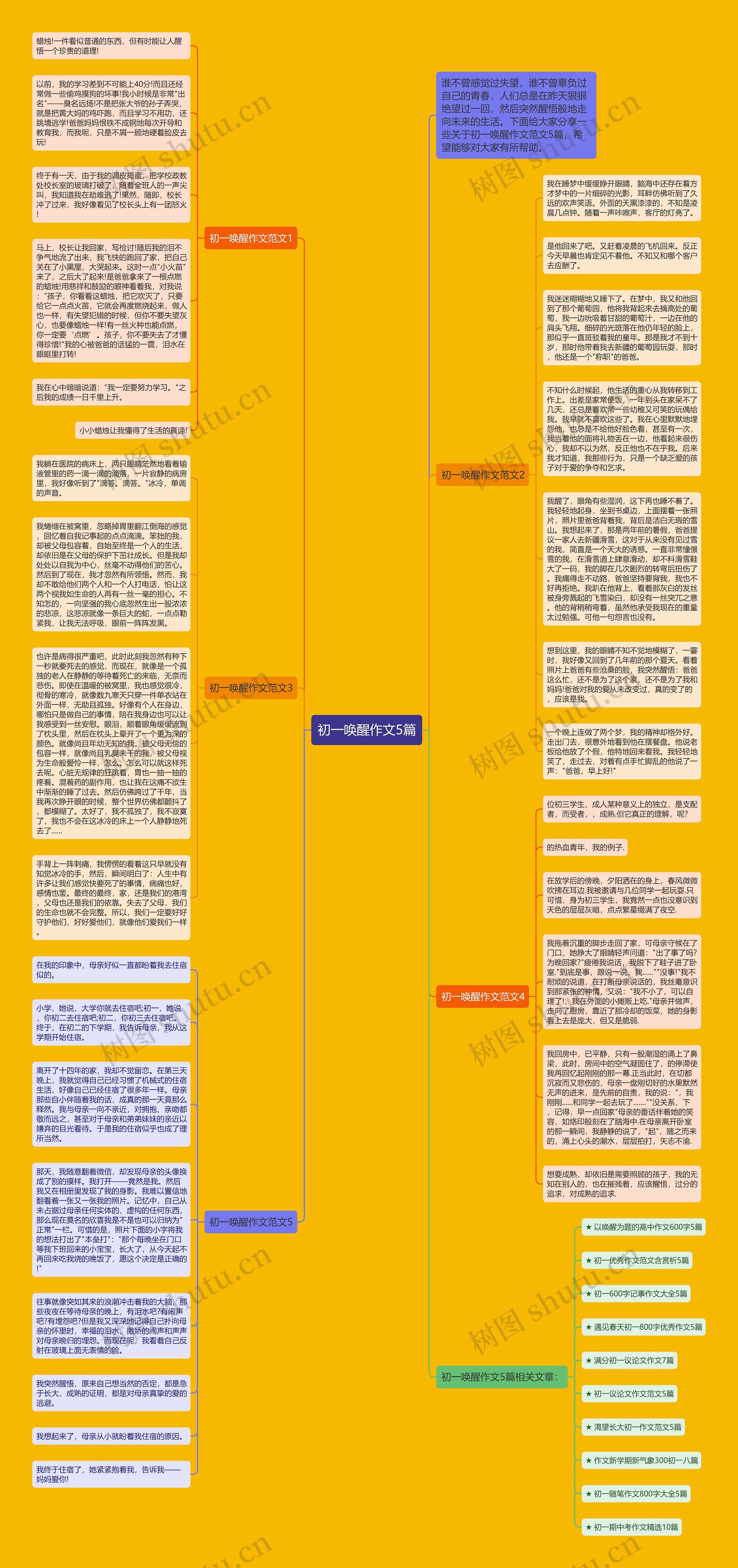 初一唤醒作文5篇思维导图